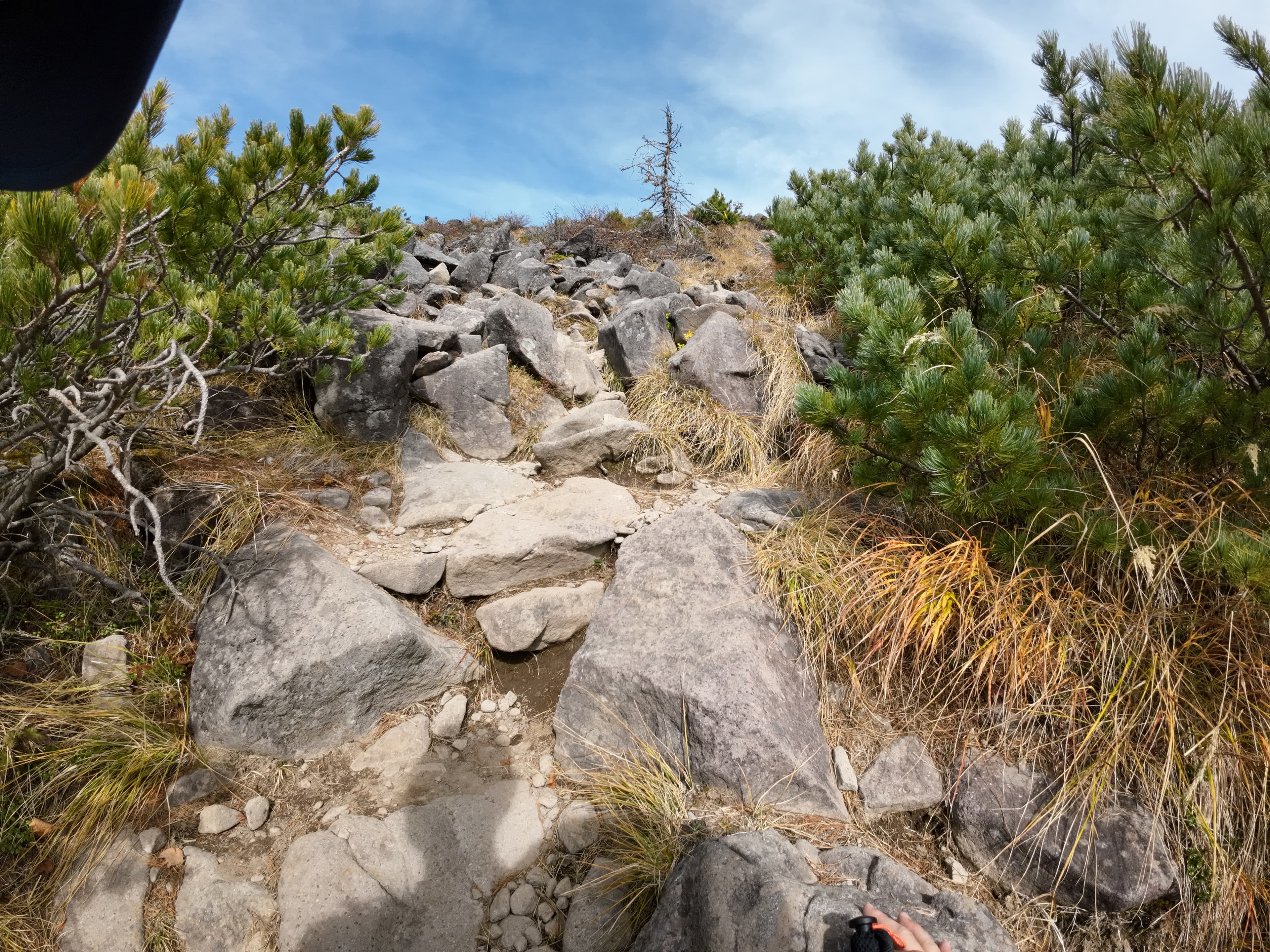 編笠山山頂直下