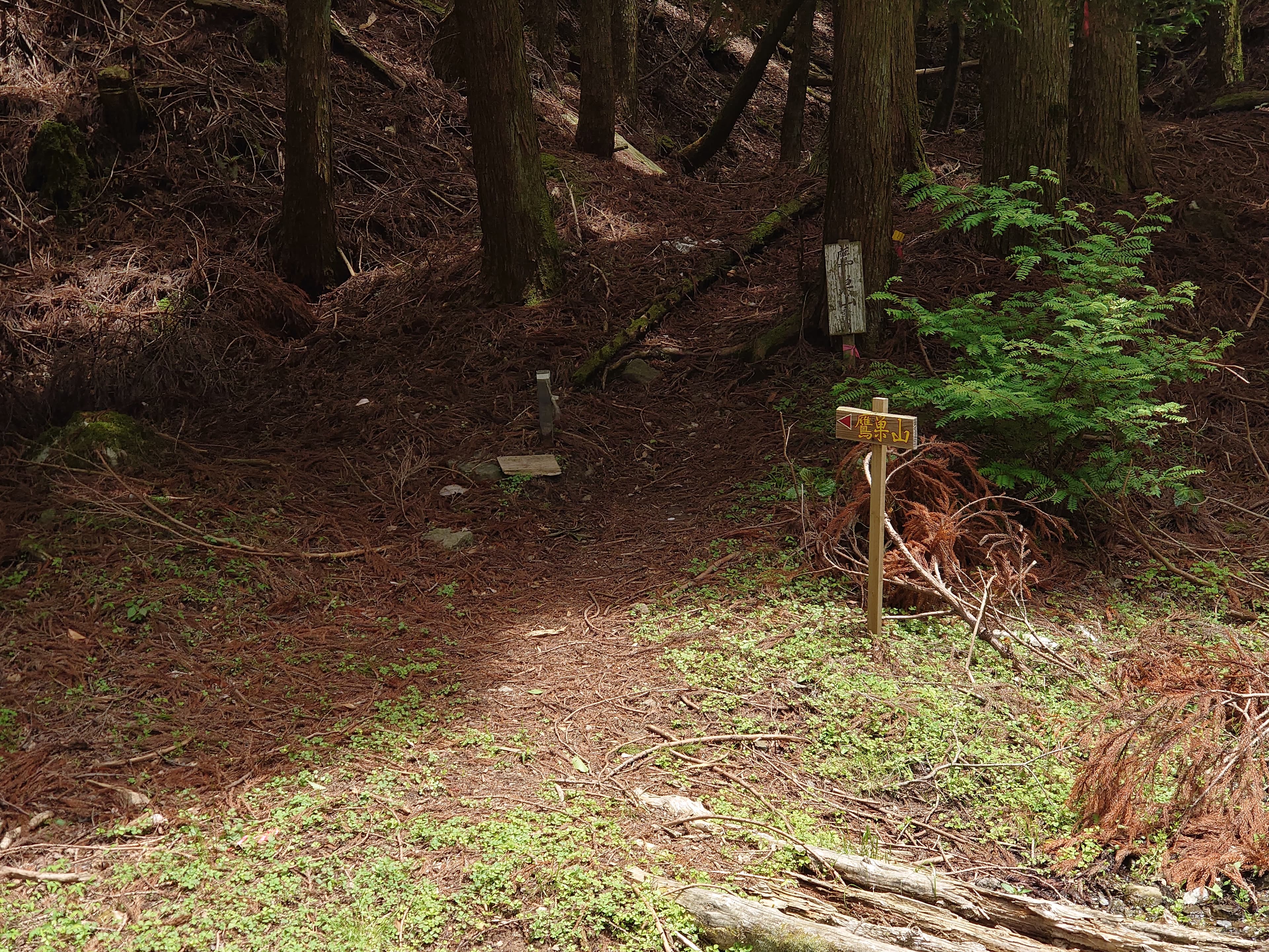 鷹ノ巣山登山口
