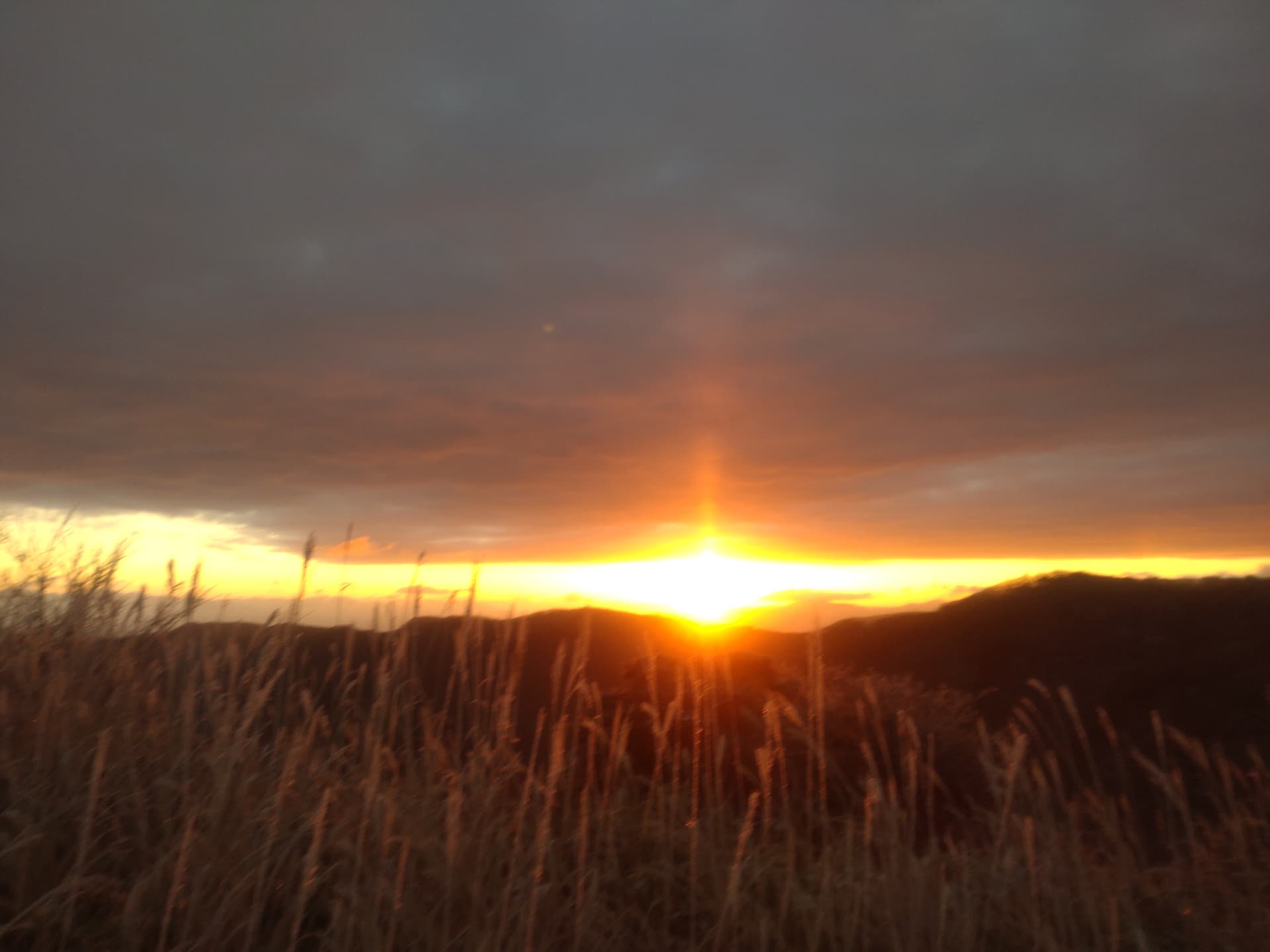 南阿蘇カルデラトレイル50ｋ