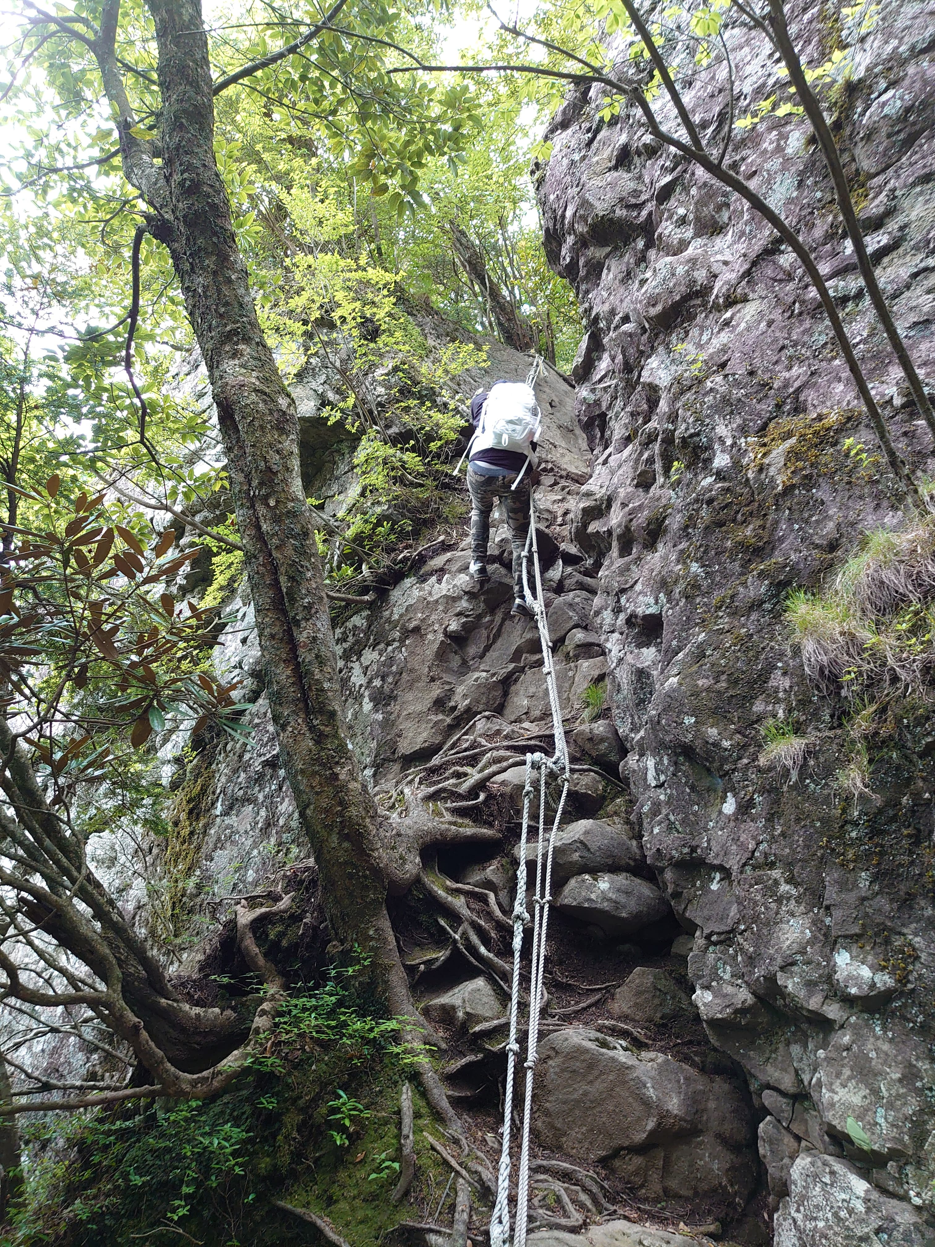 鷹ノ巣山の岩場2