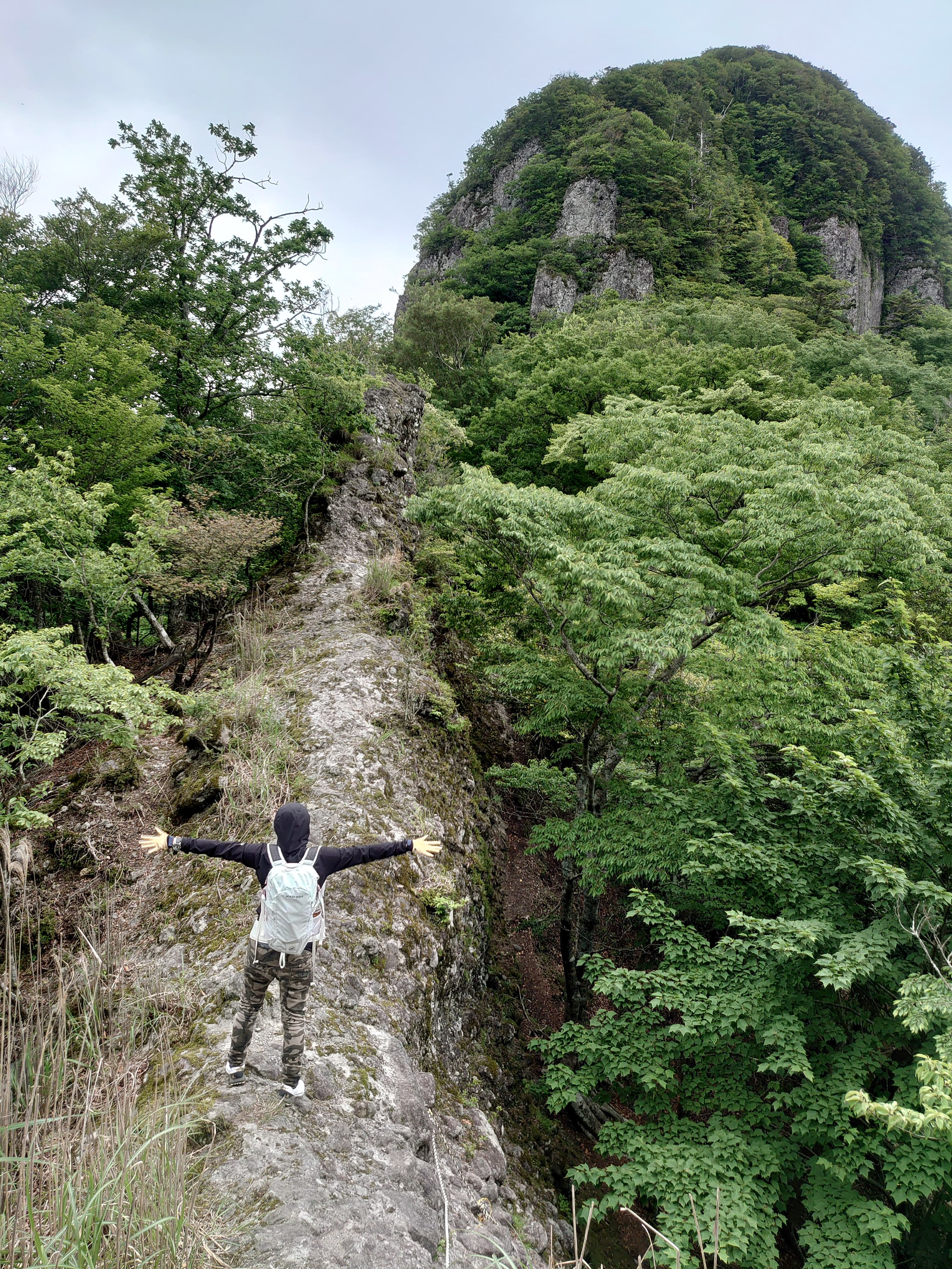 鷹ノ巣山の登山道