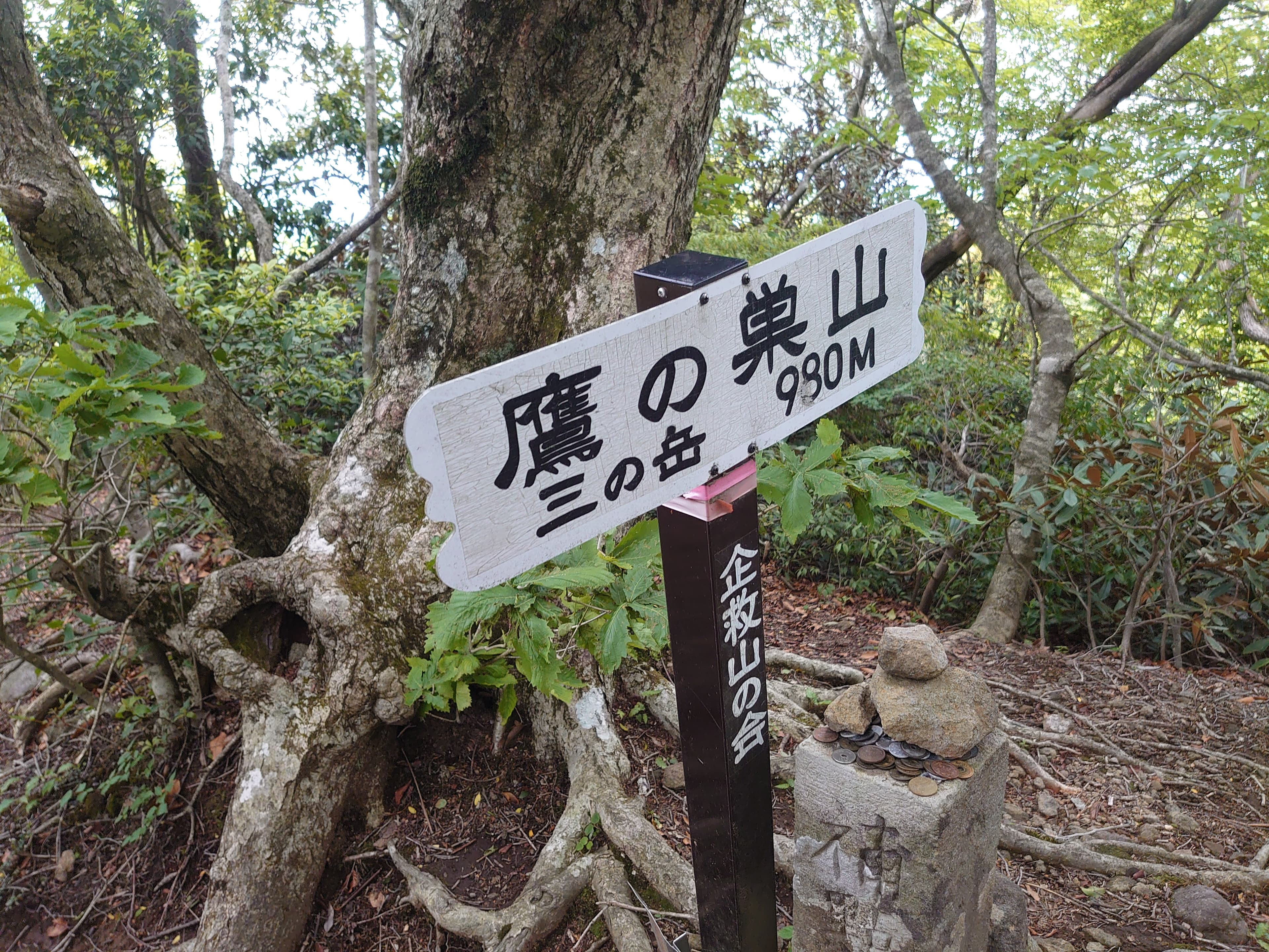 鷹ノ巣山の山頂標識