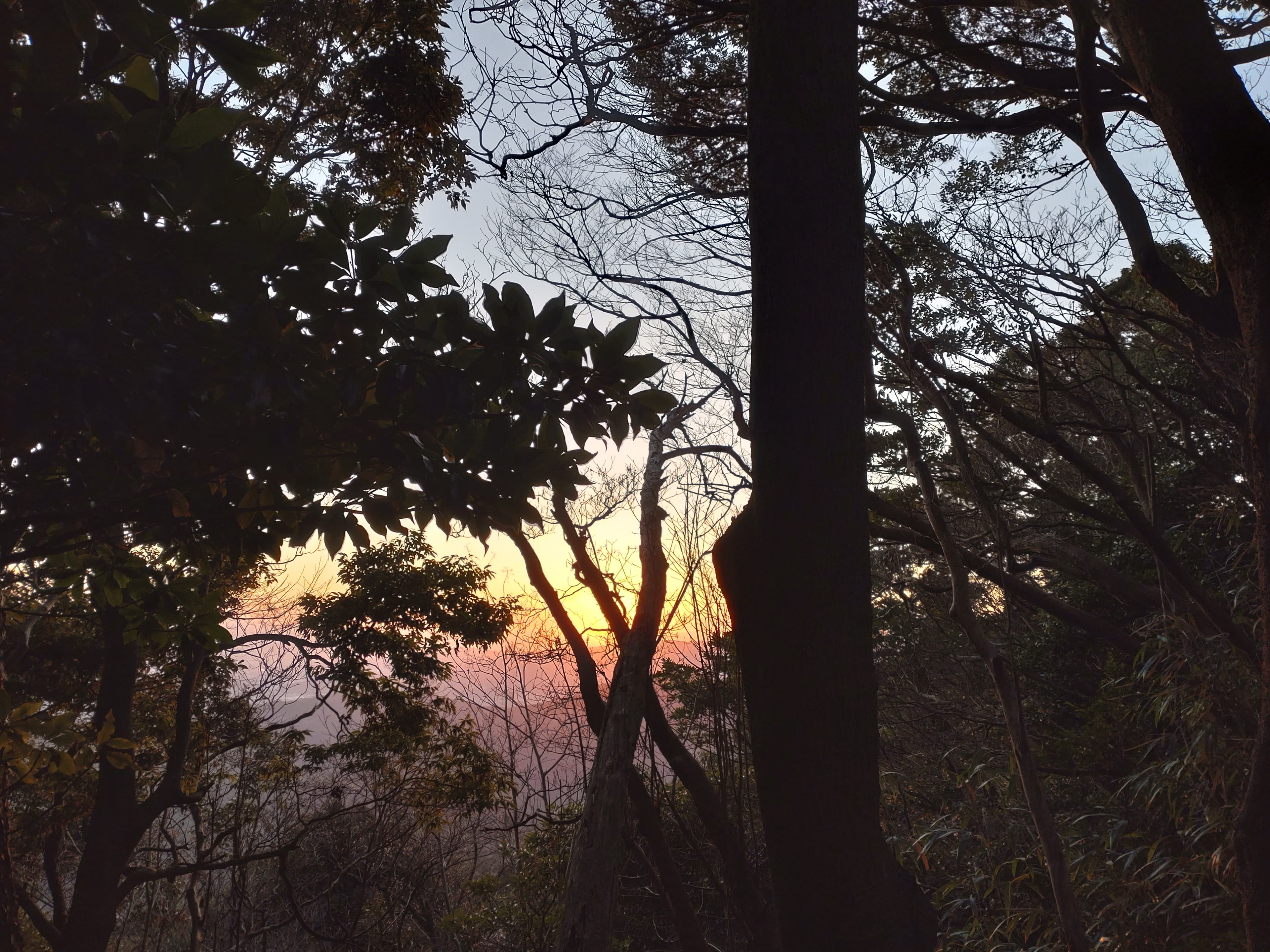 油山登山道で日の出