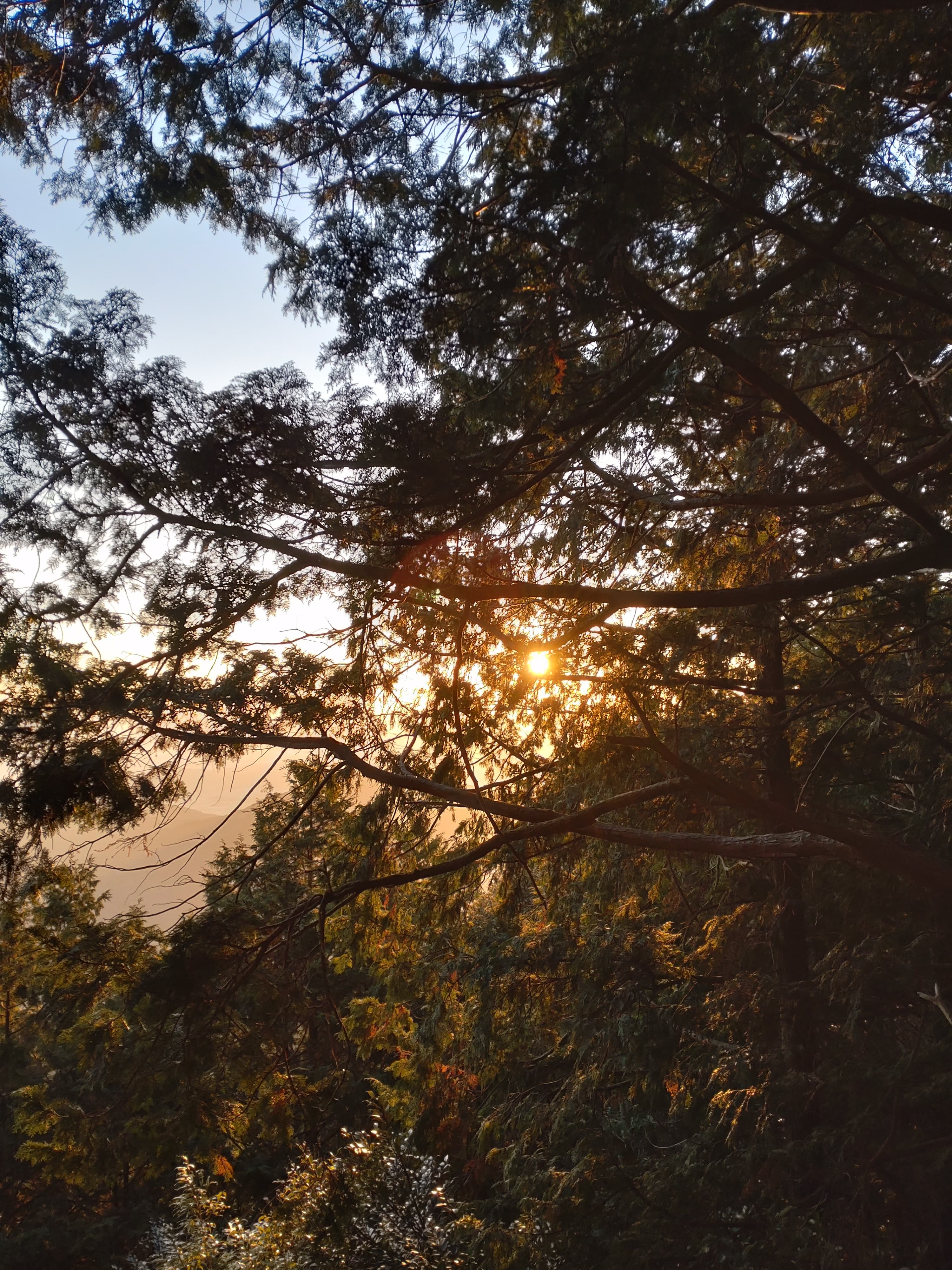 油山登山道で日の出