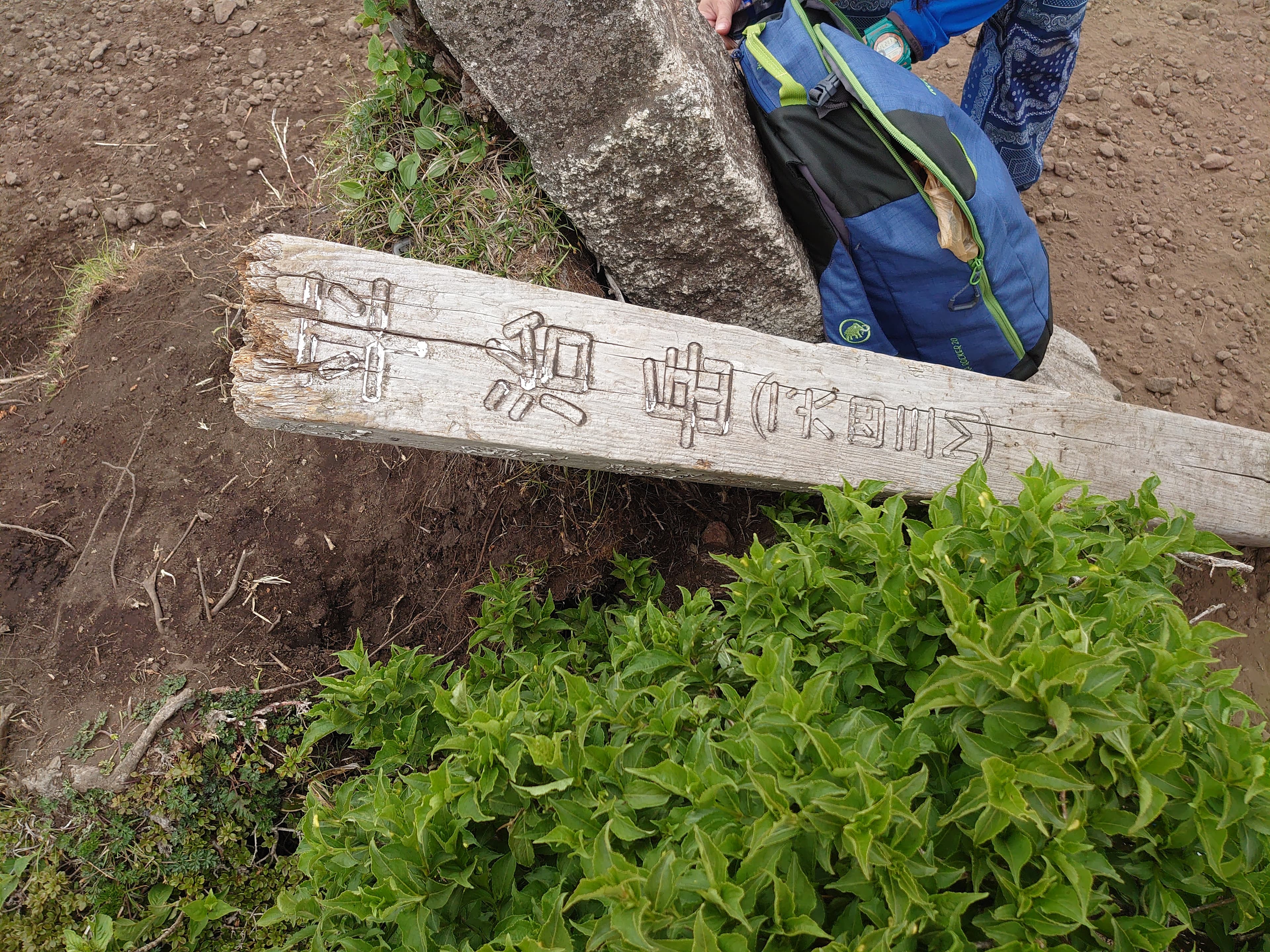 ミヤマキリシマに染まる久住の平治岳