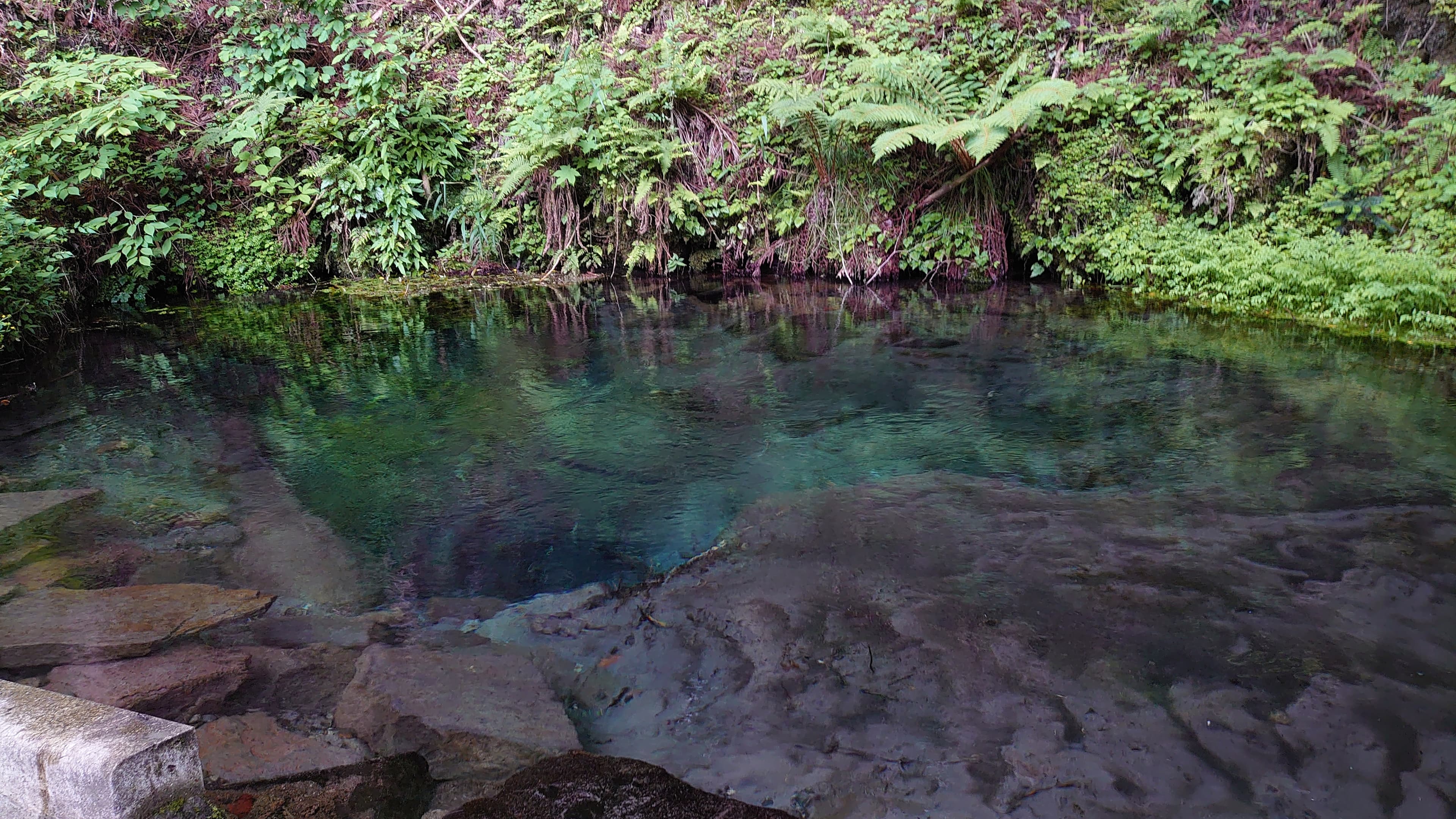 久住・男池の水