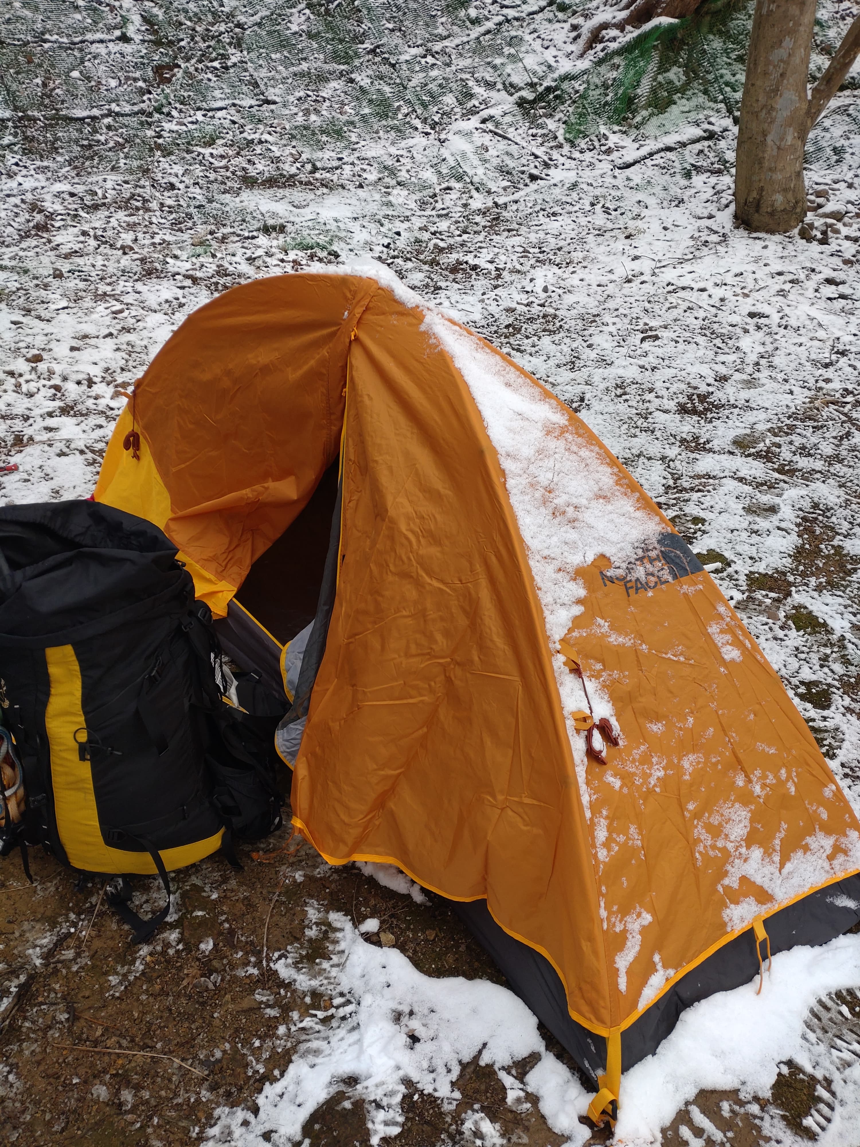 昭和の森での朝