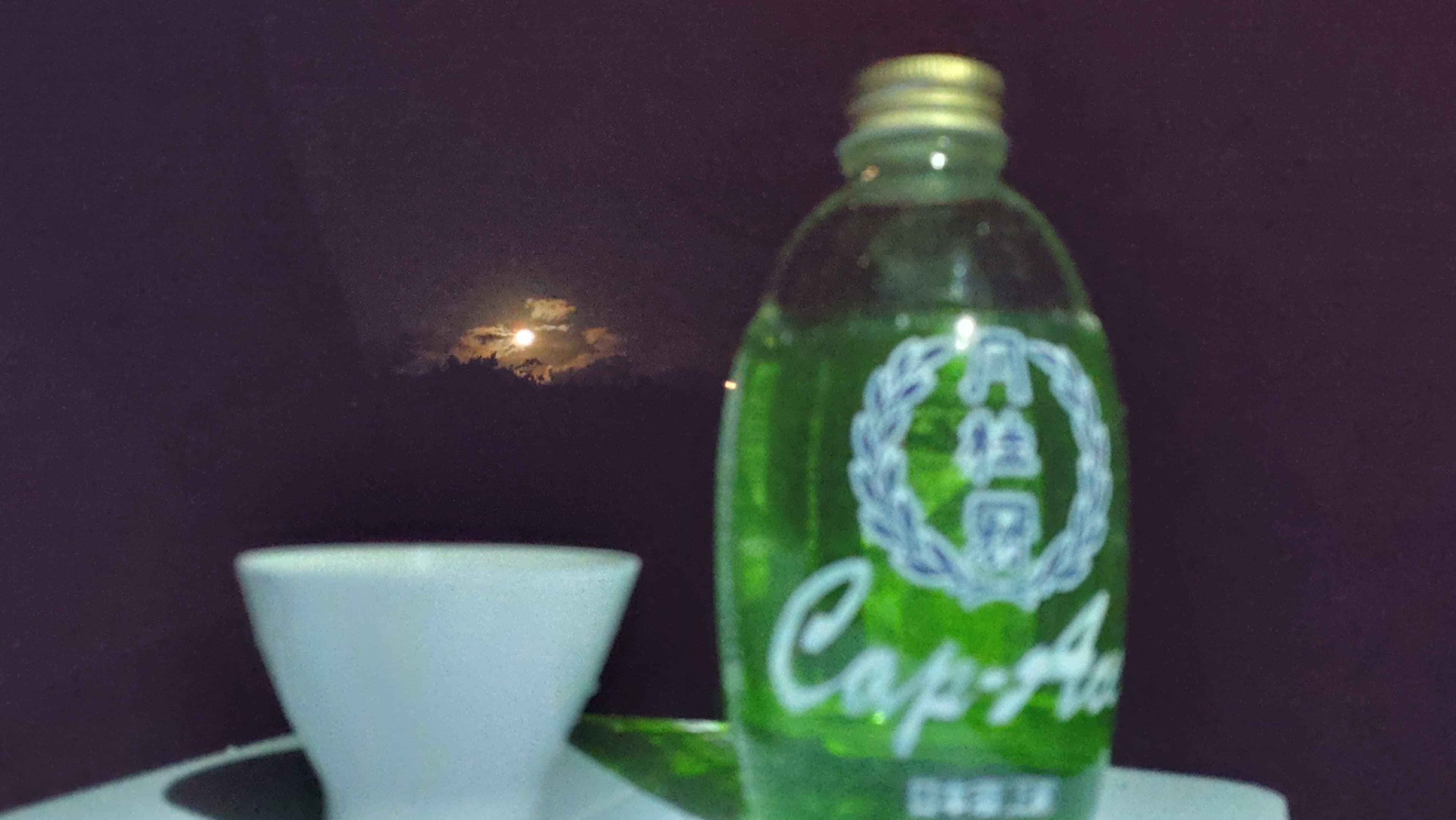 月桂冠とおぼろ月