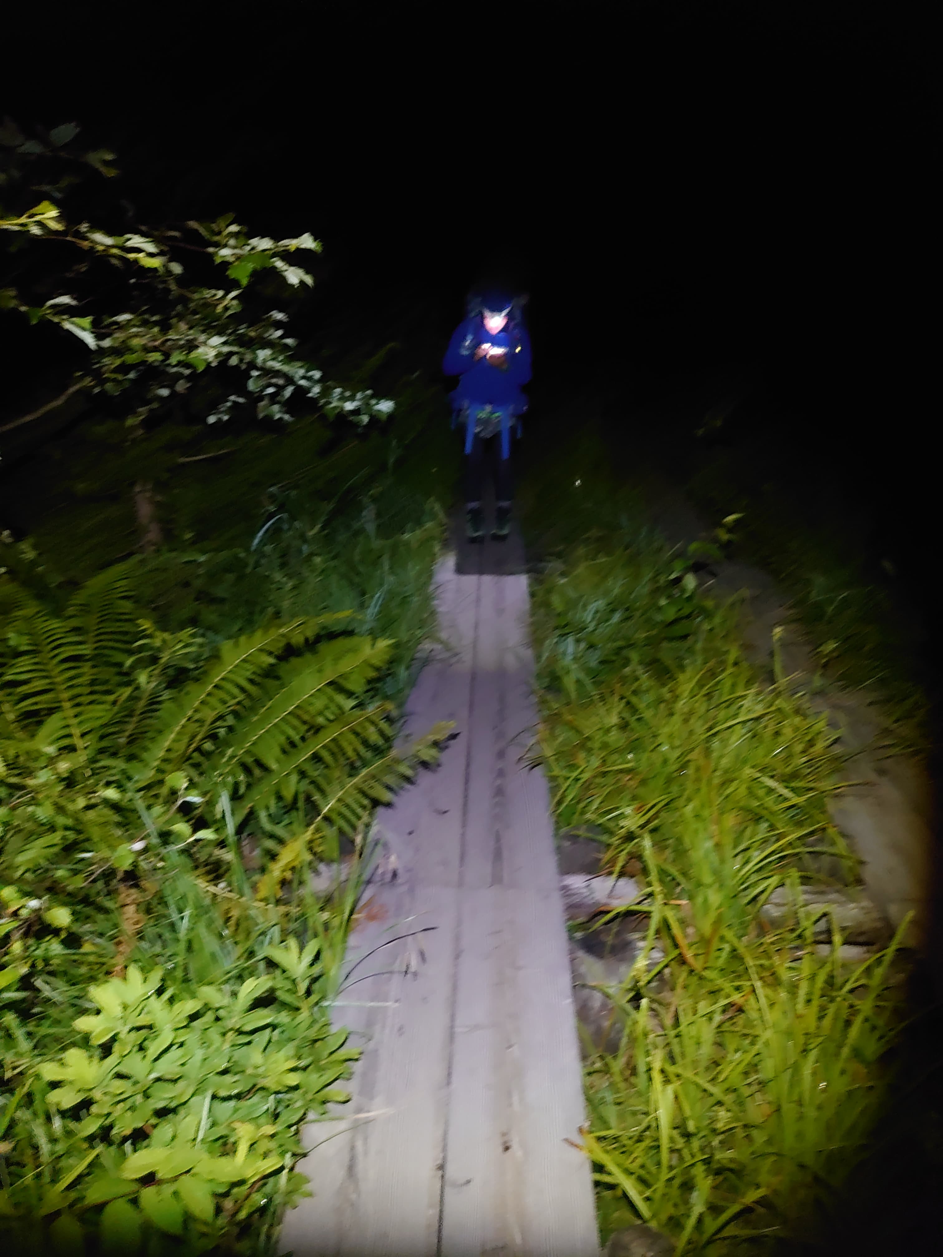 岳沢への登山道1