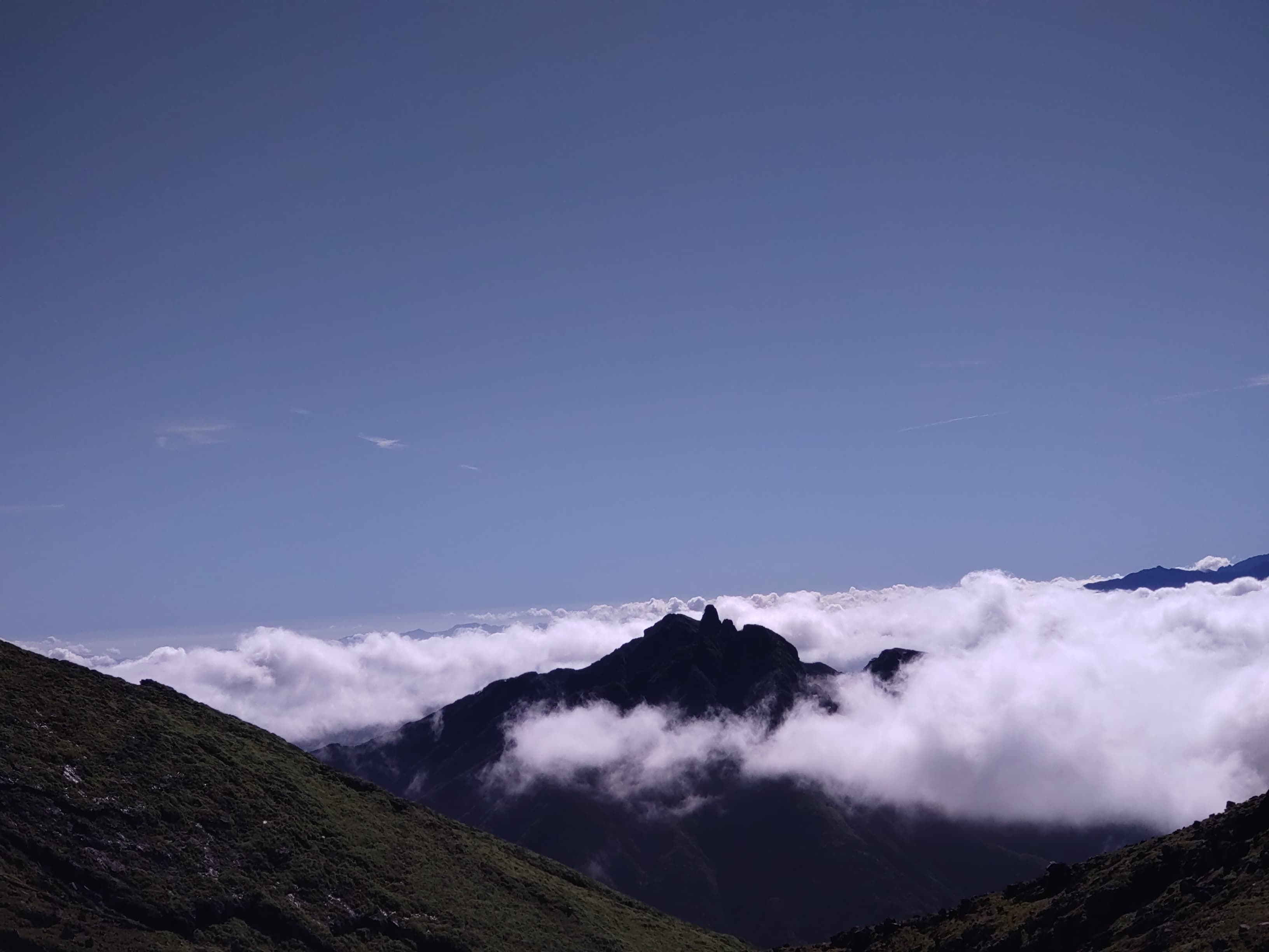 阿蘇中岳登山道から望む根子岳1