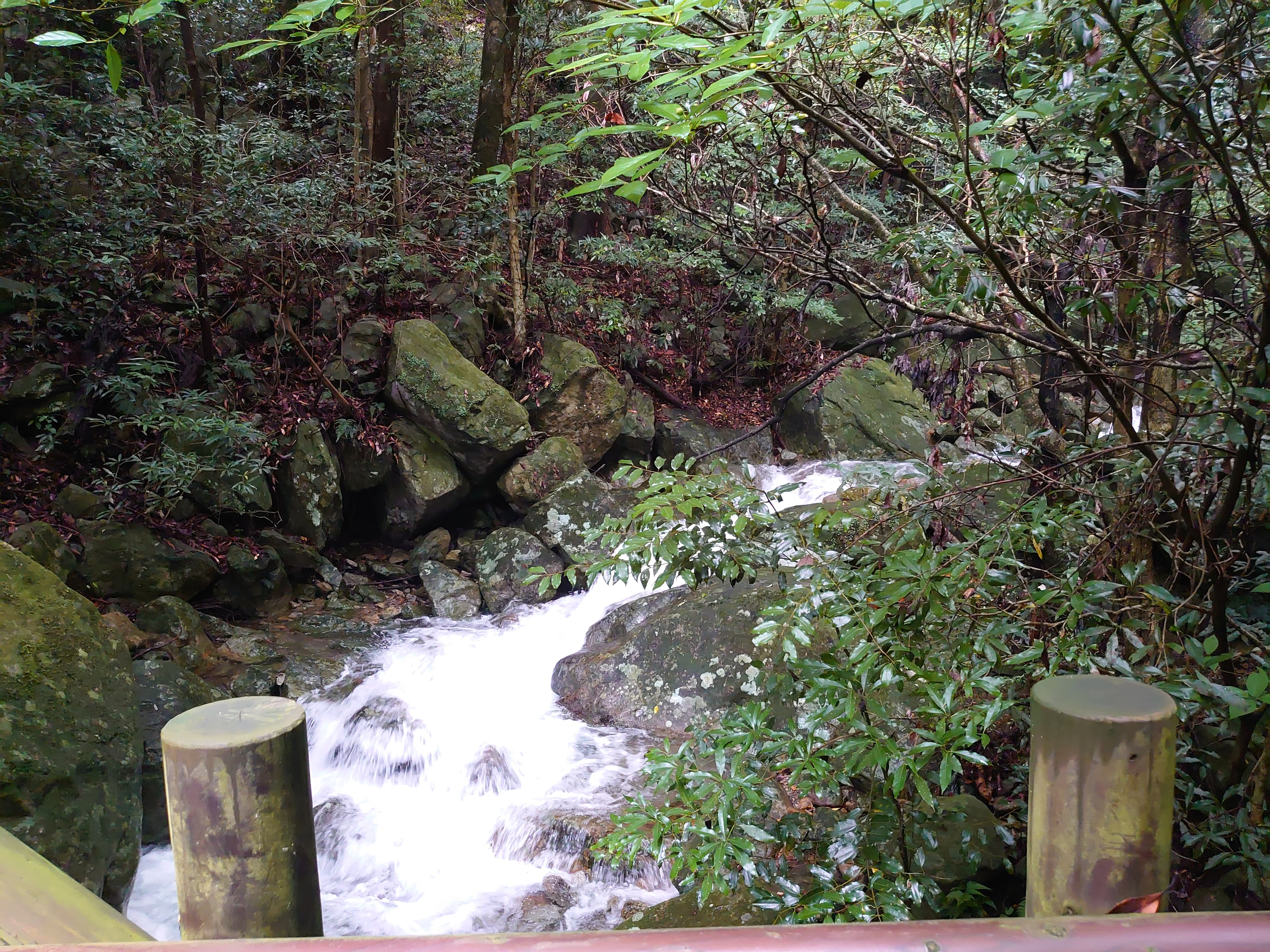 行縢山登山道途中の綺麗な沢2
