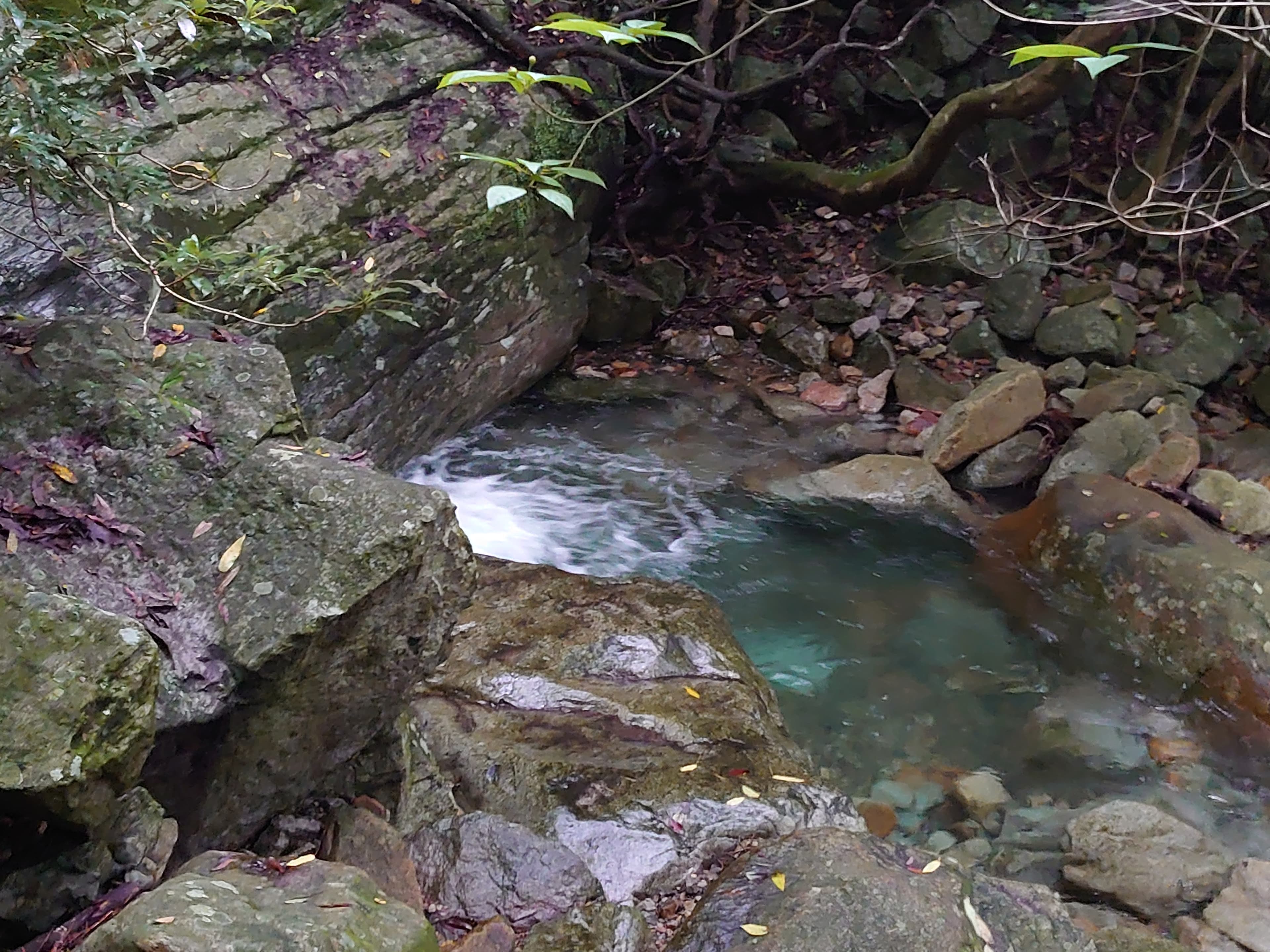 行縢山登山道途中の綺麗な沢1