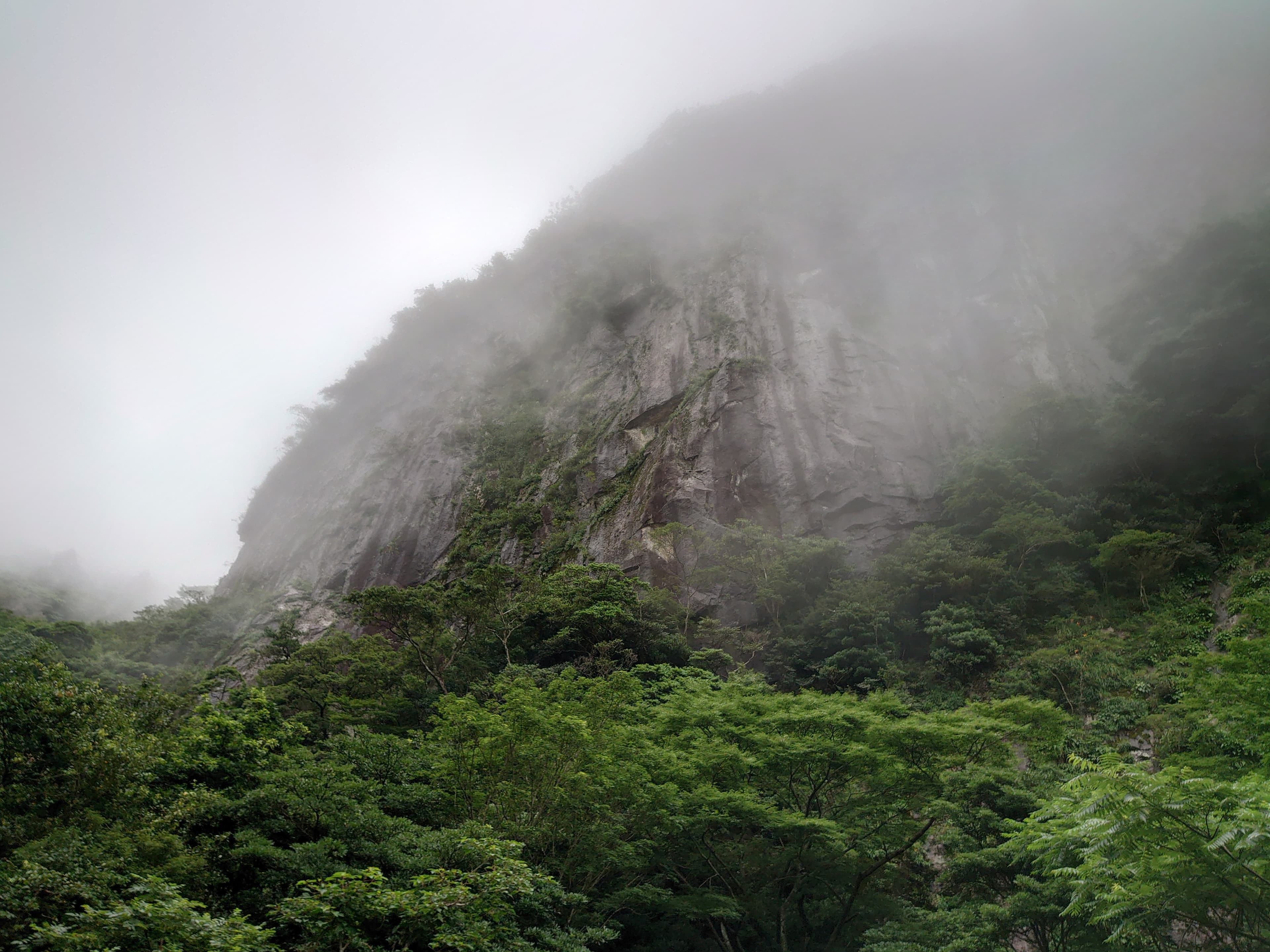 行縢山の登山道途中から見上げた行縢山の大岩壁