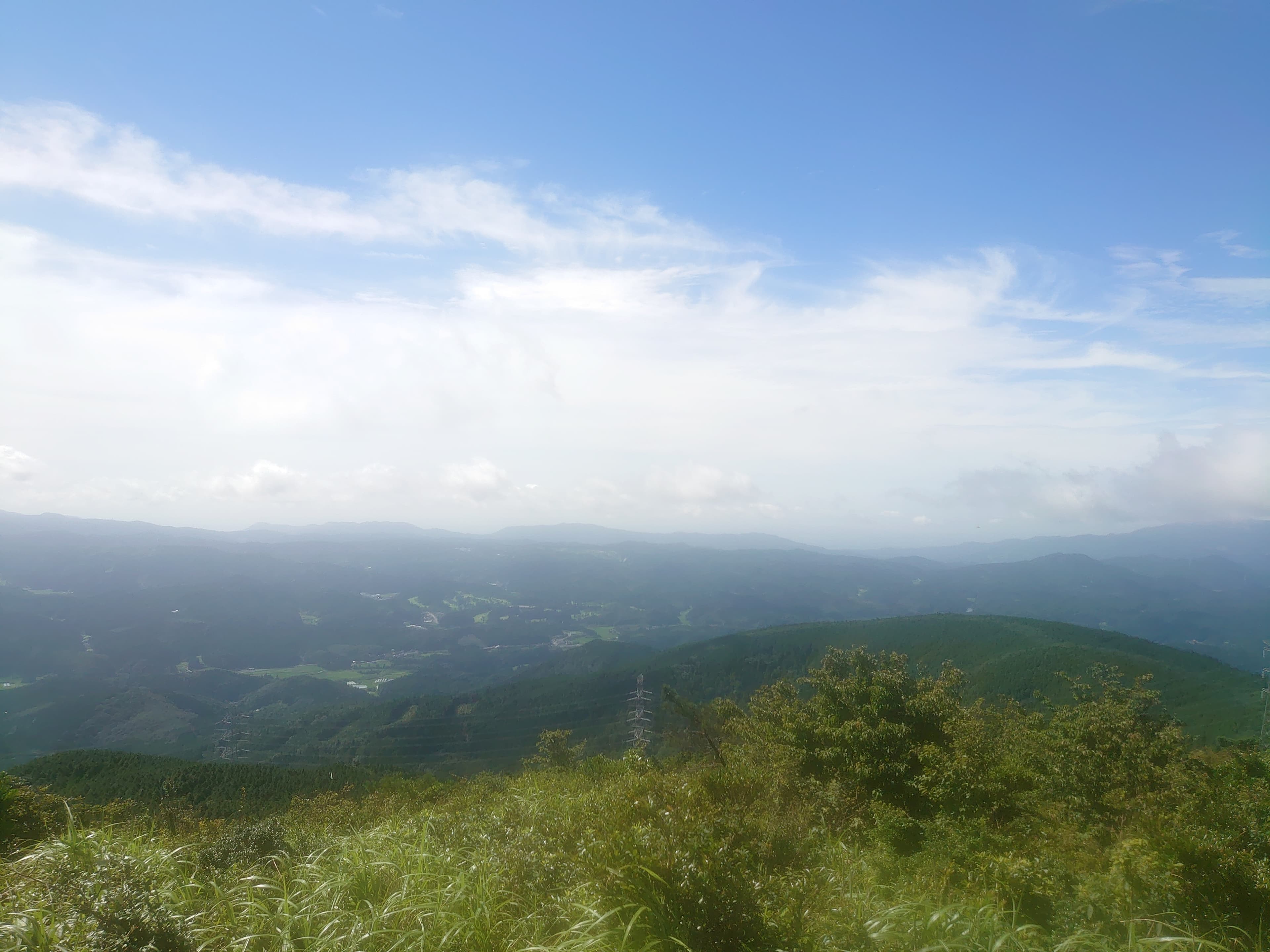 オオキツネノカミソリを愛でに、井原山でトレイルランニング