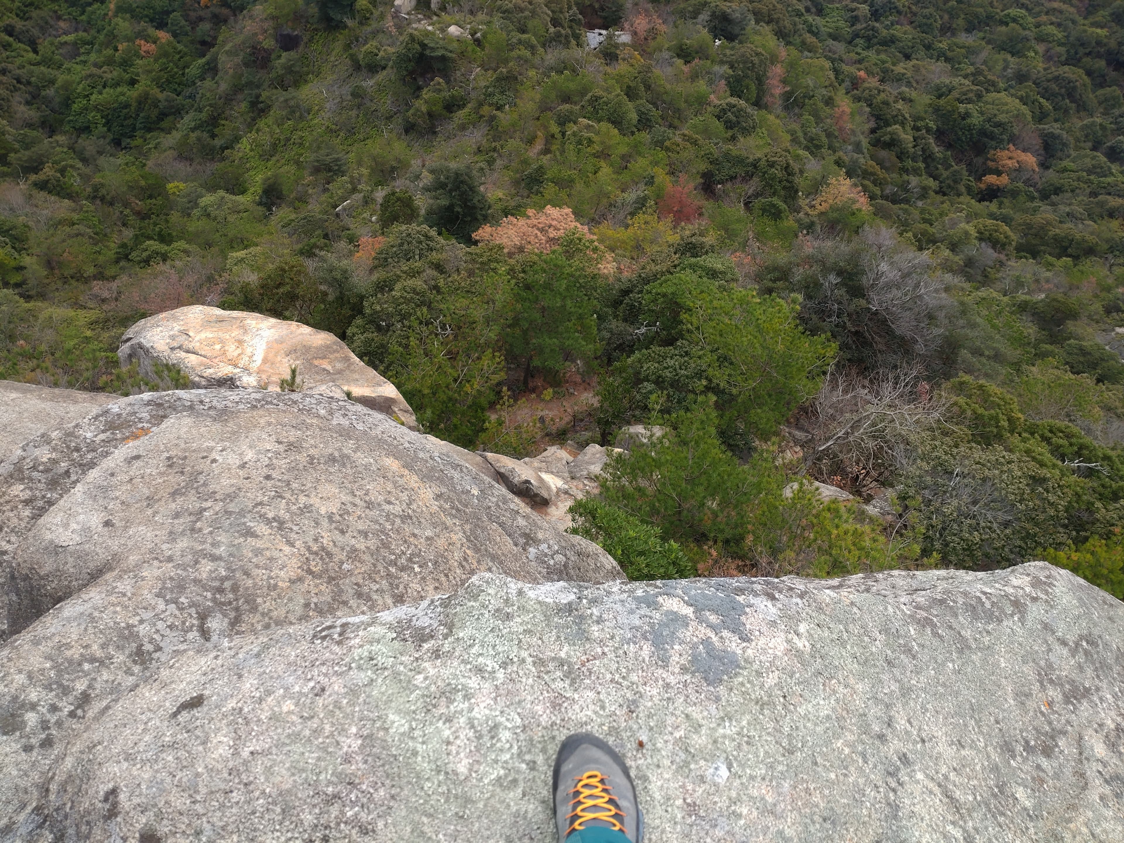 右田ヶ岳の登山道からの眺望