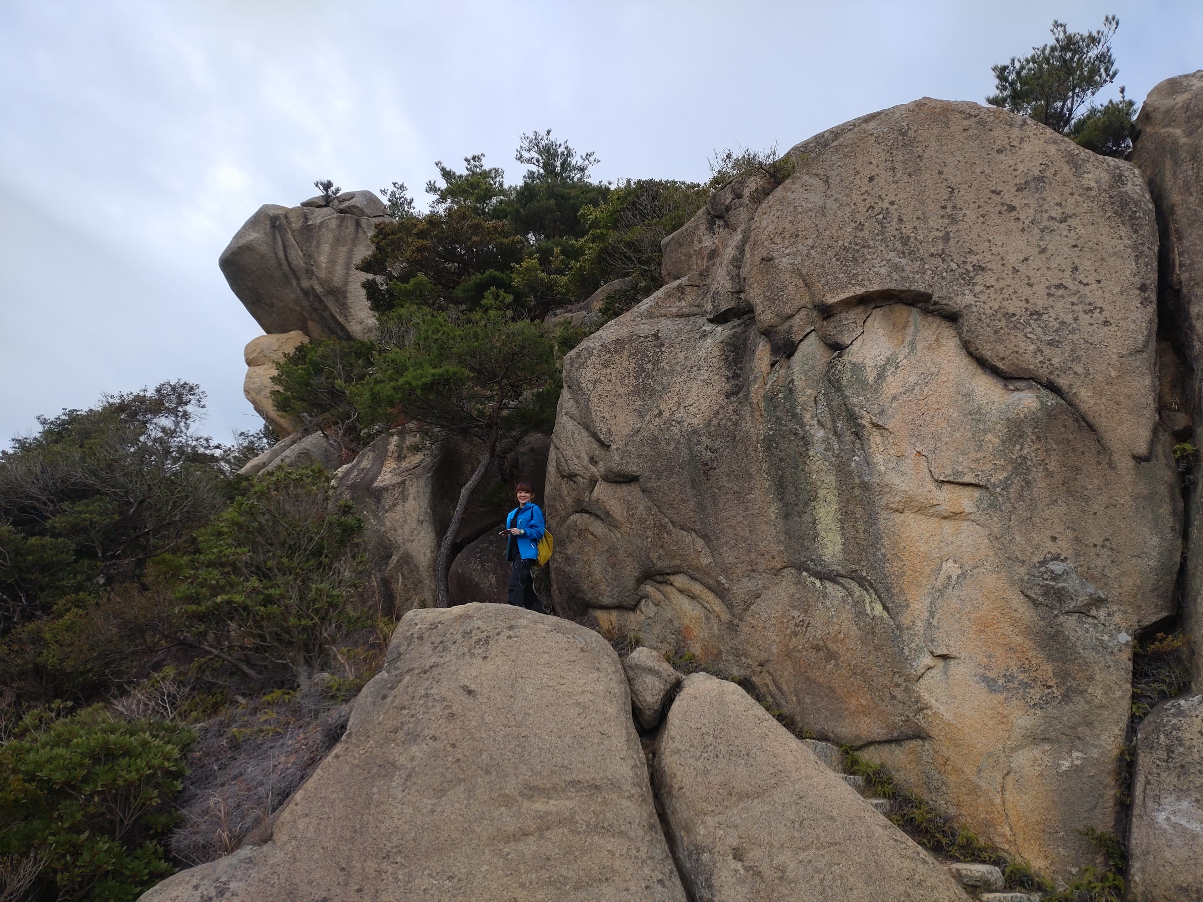 右田ヶ岳の登山道