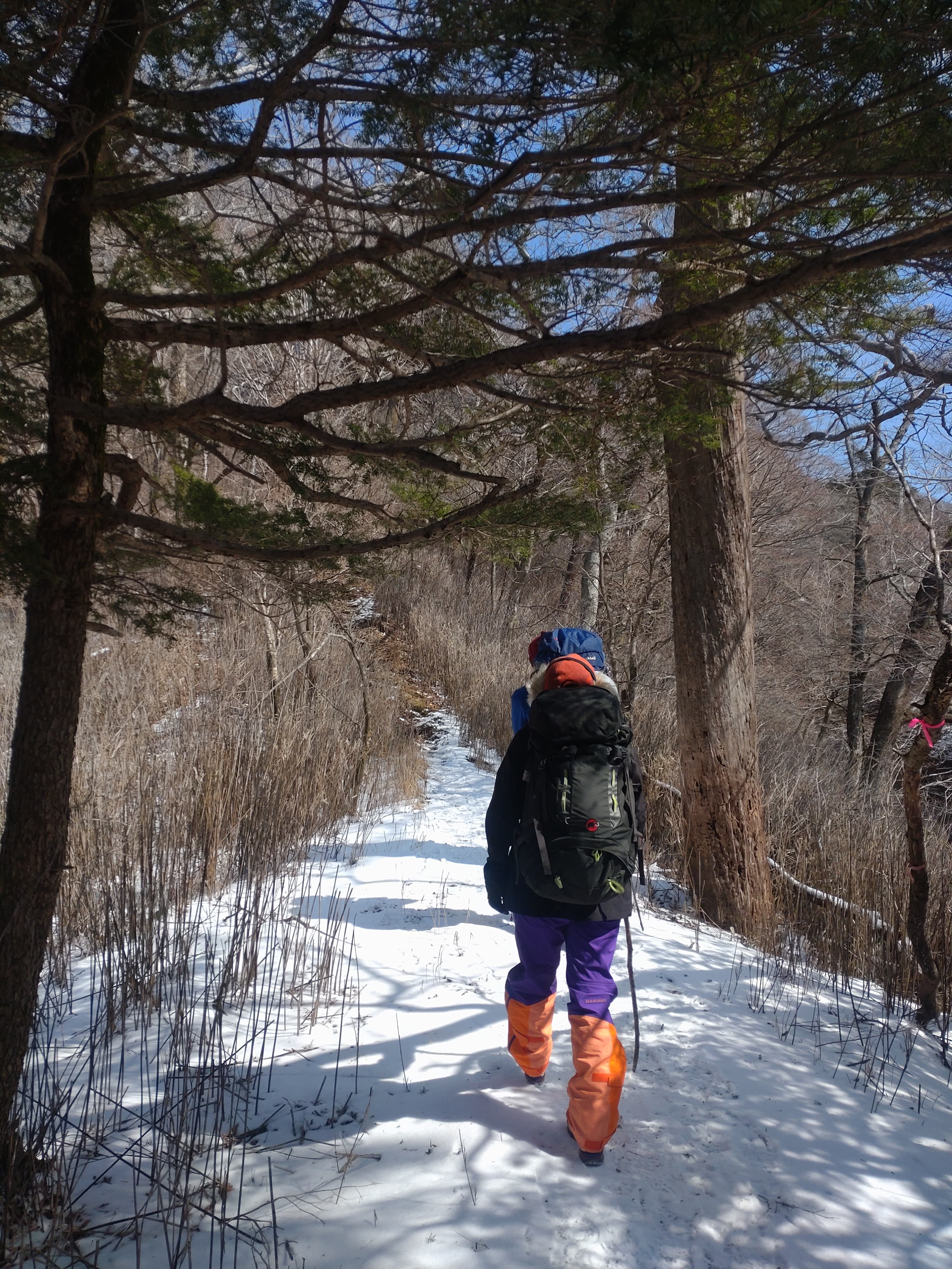 親父山登山道の雪道