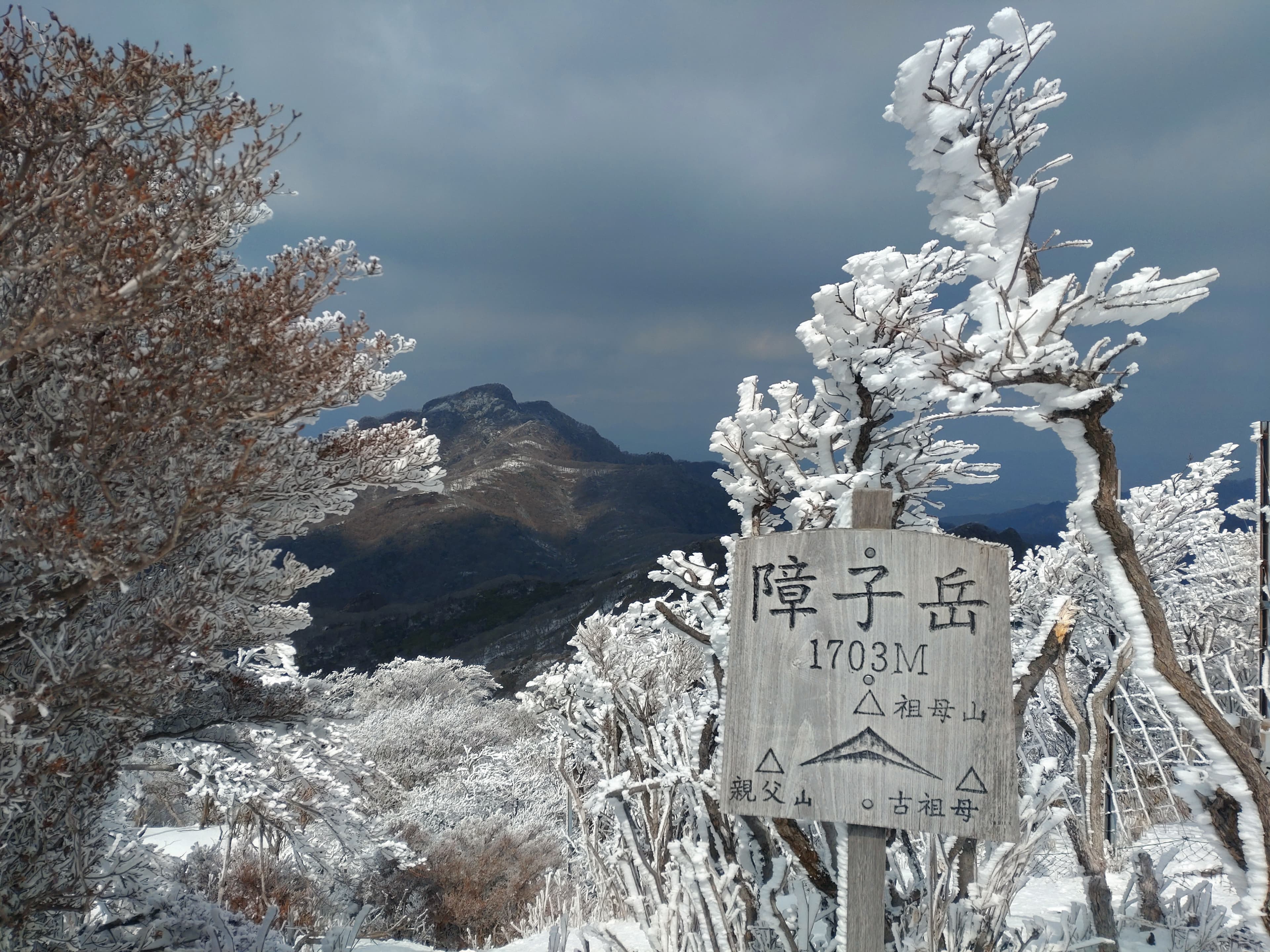 霧氷に彩られた障子岳山頂