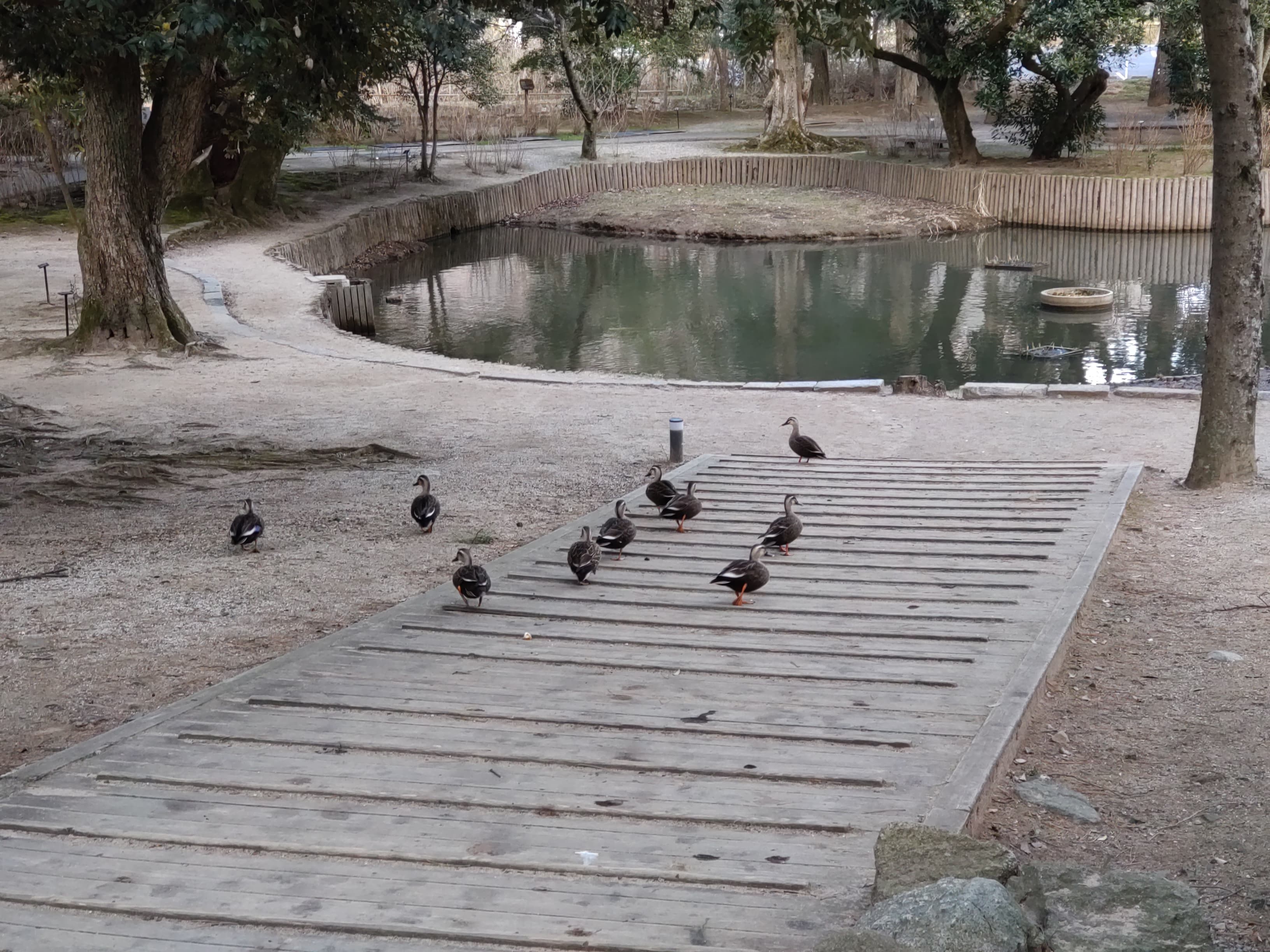 出雲大社の風景