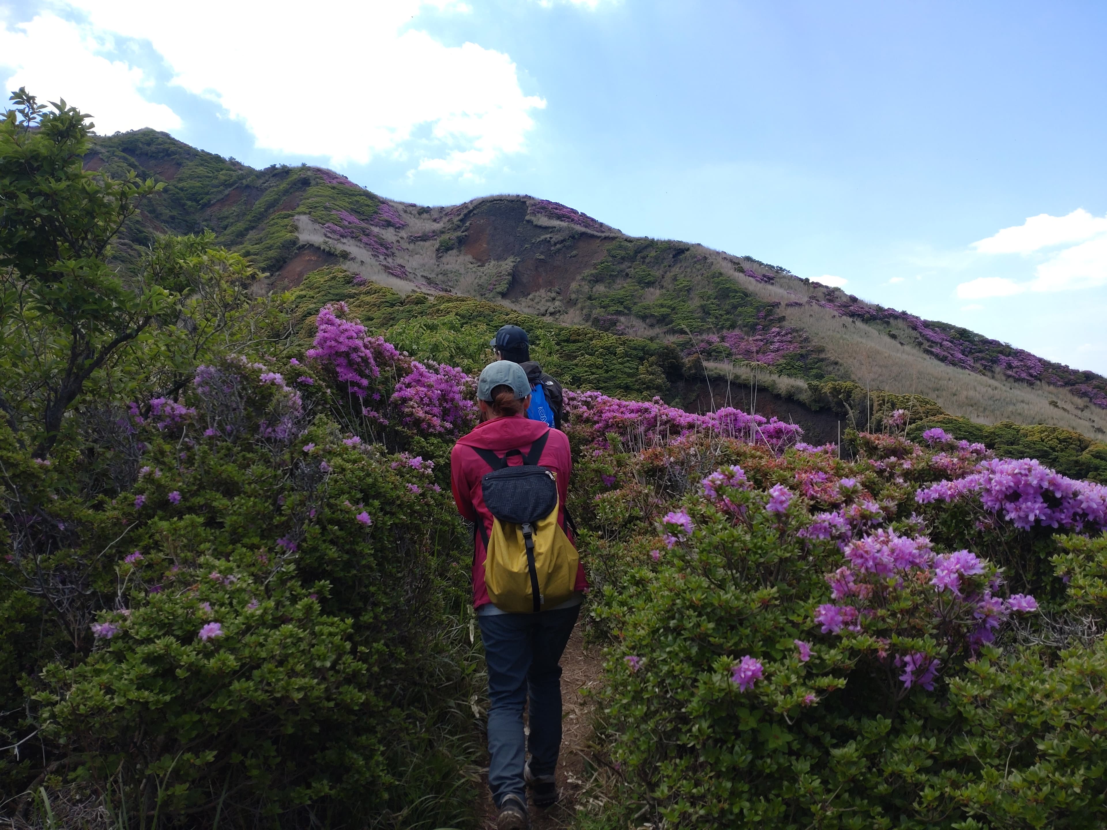 烏帽子岳登山道