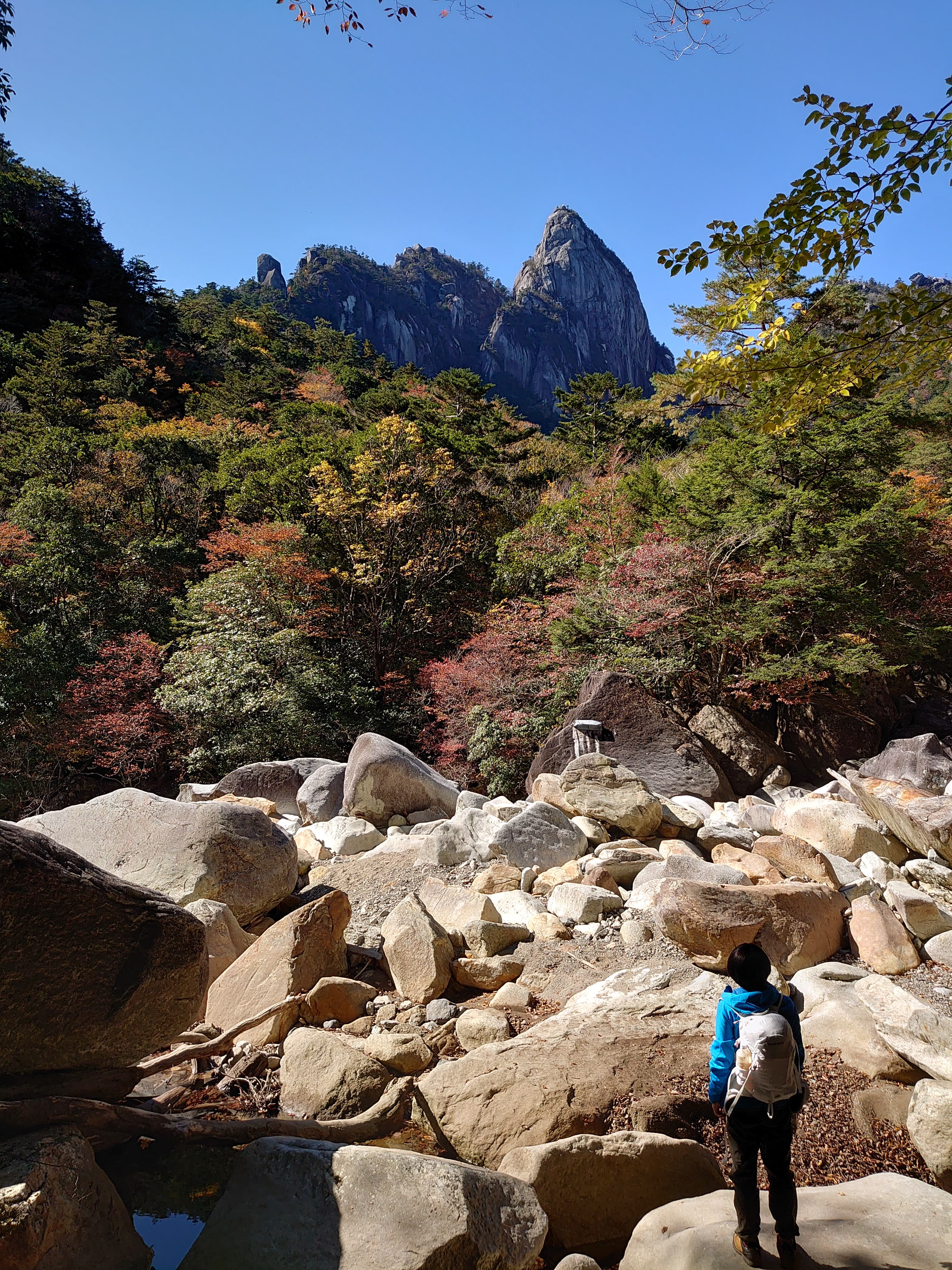 祝子川渡渉ポイントから見上げる岩峰