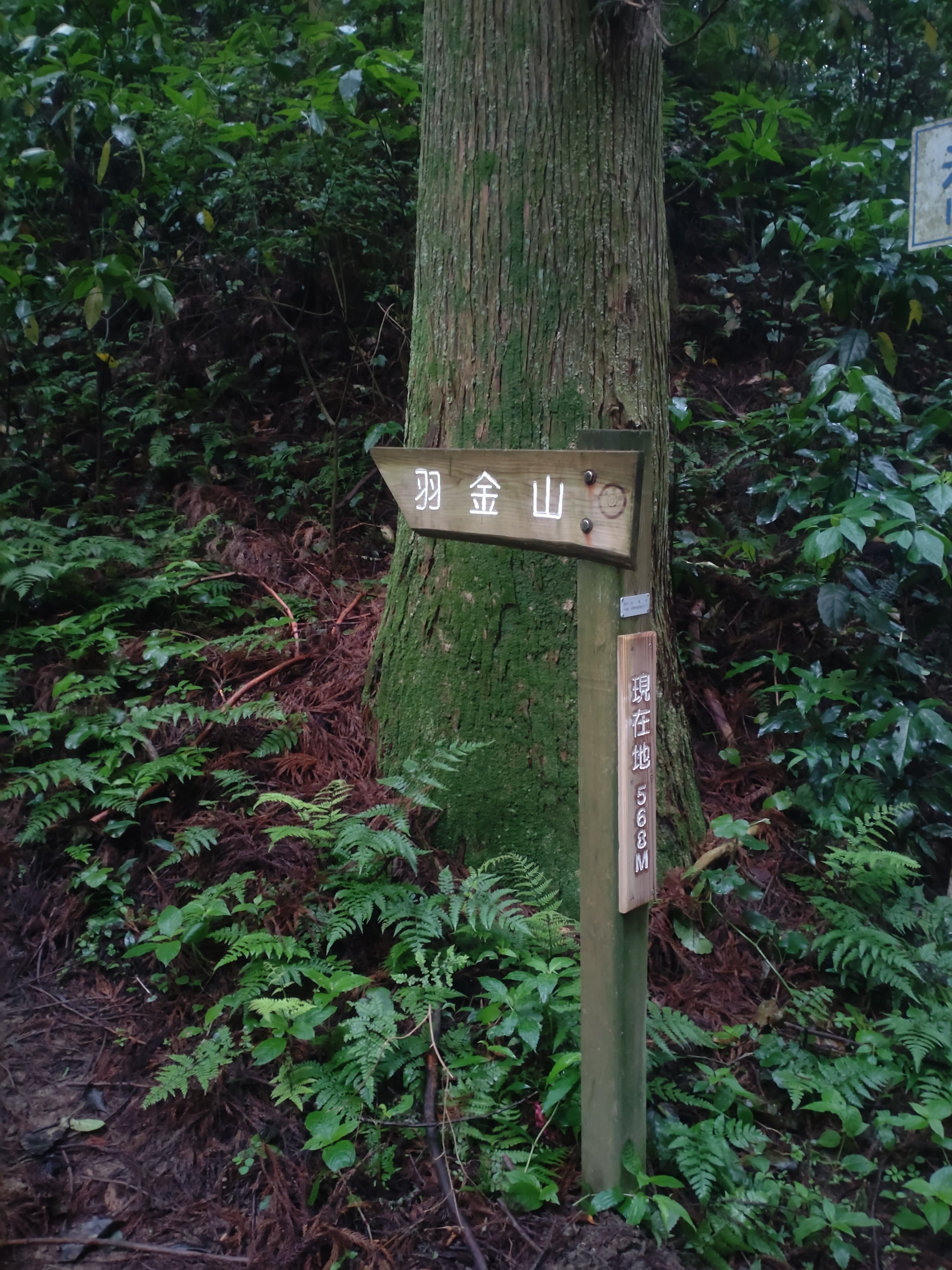 長野峠