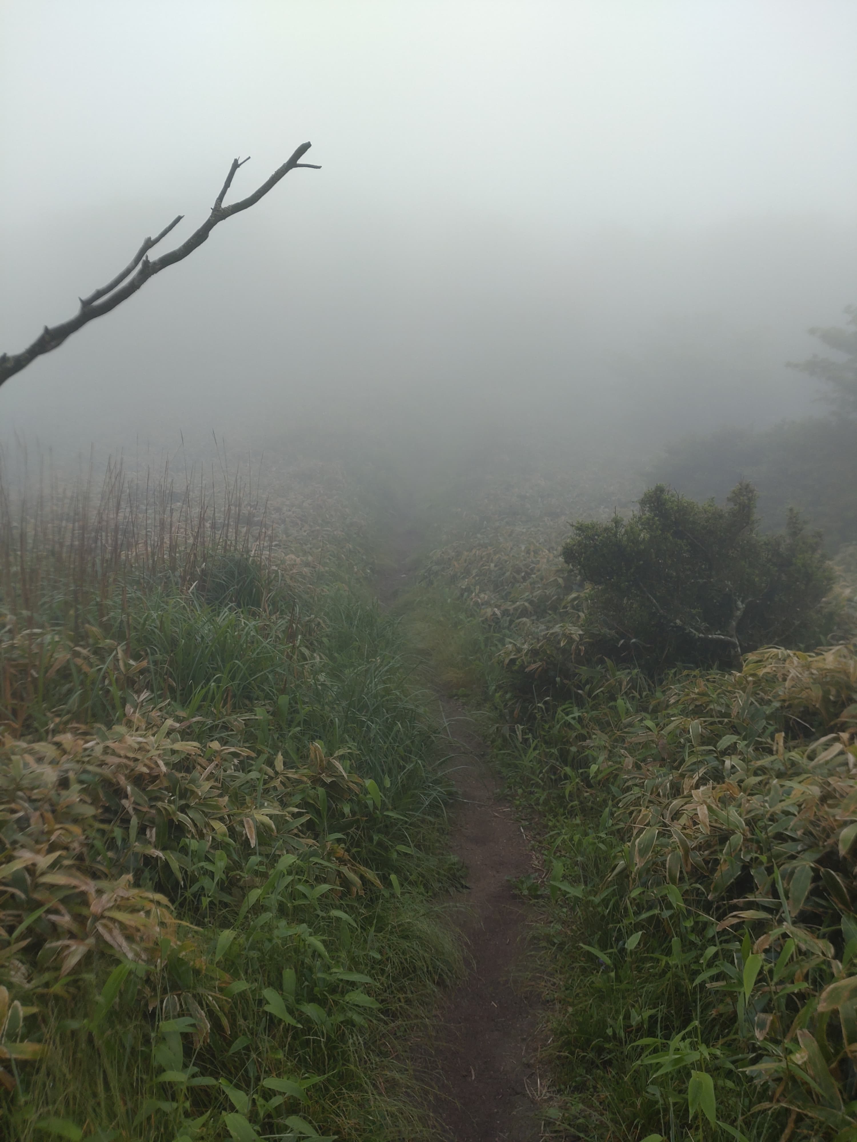雷山山頂近く