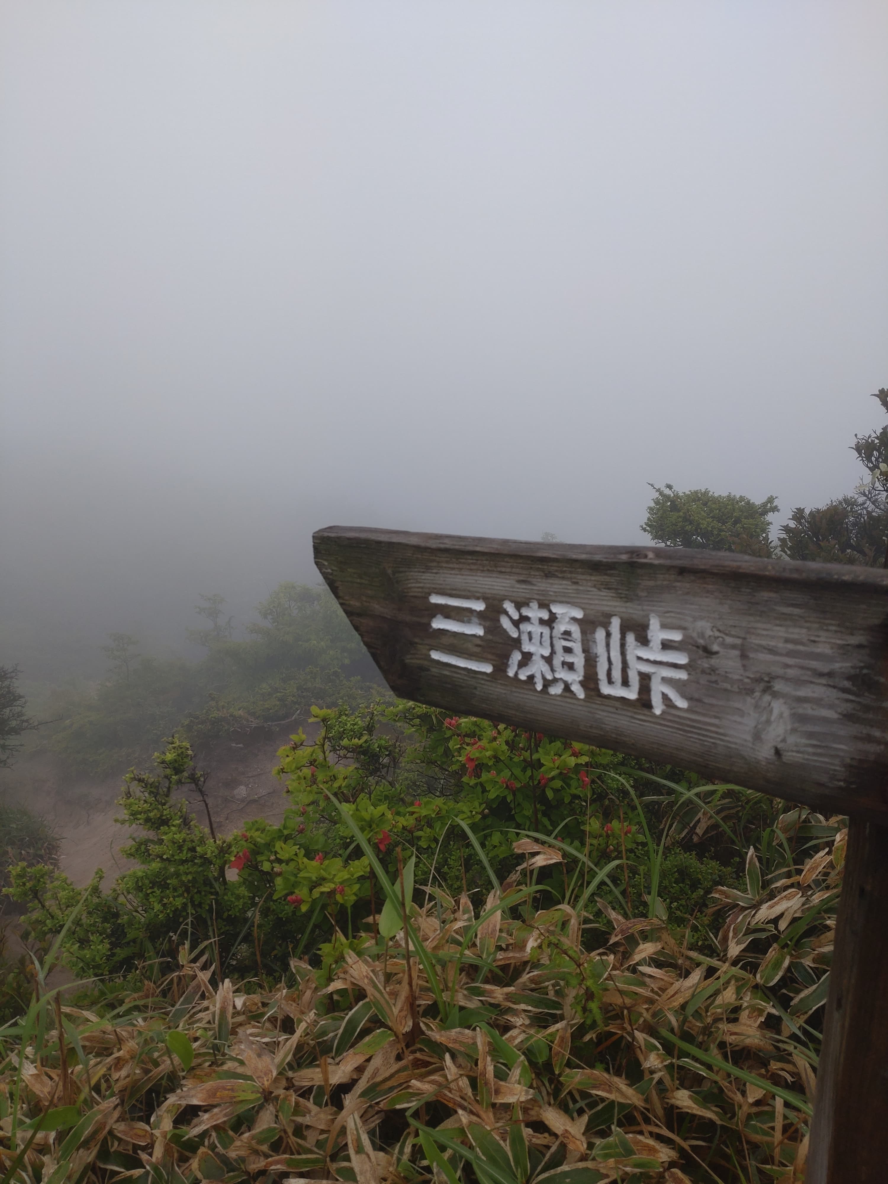 井原山山頂付近