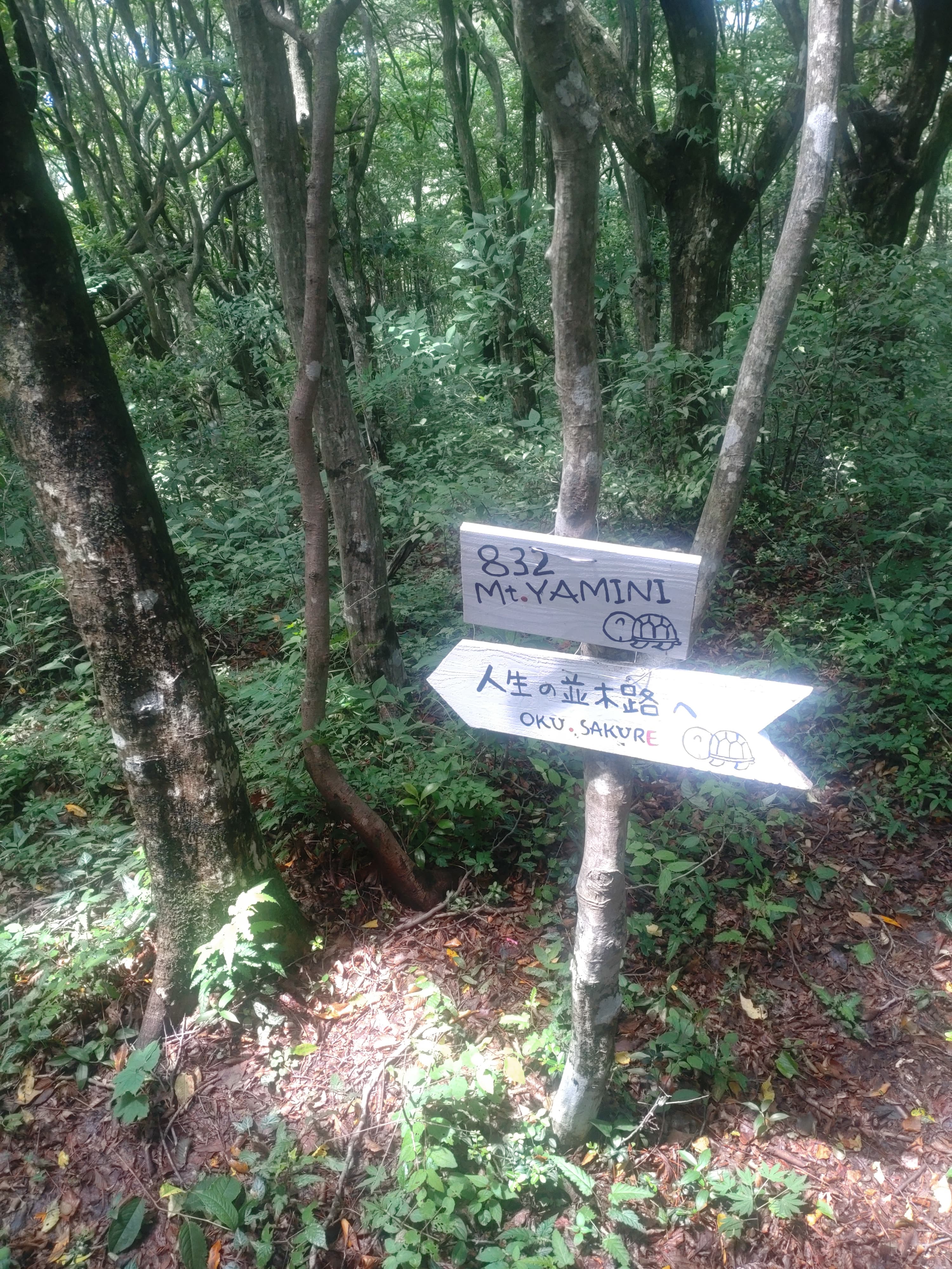 人生の並木道の道標