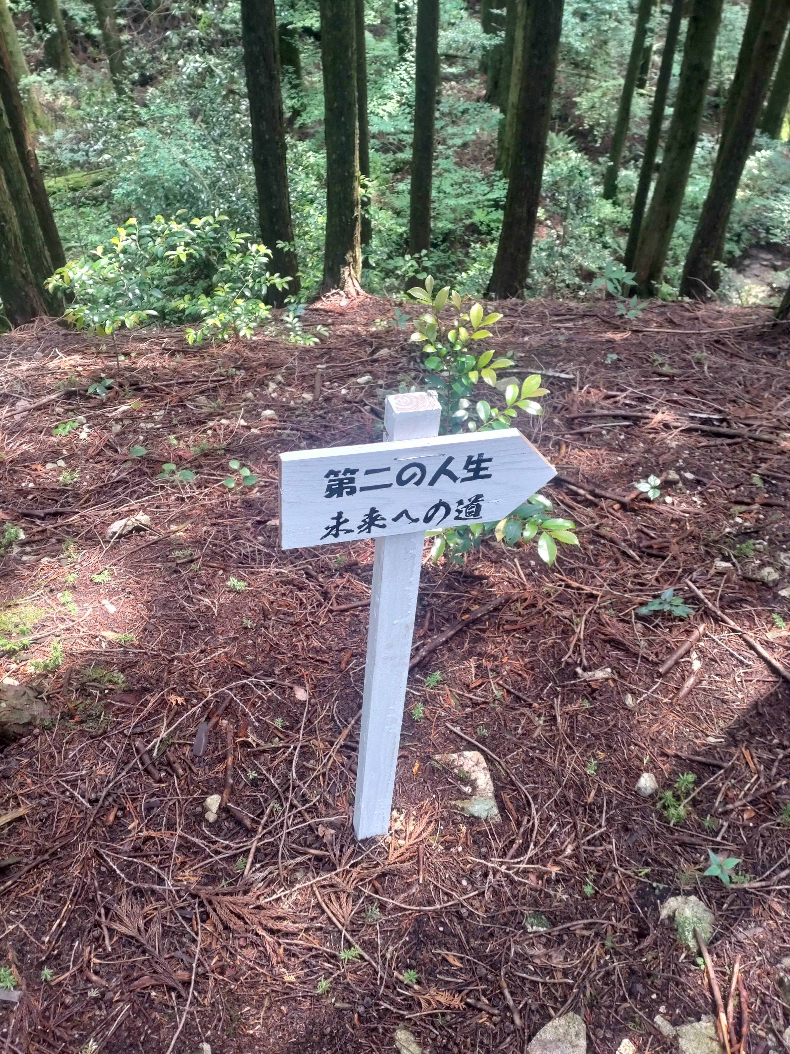 第二の人生、未来への道