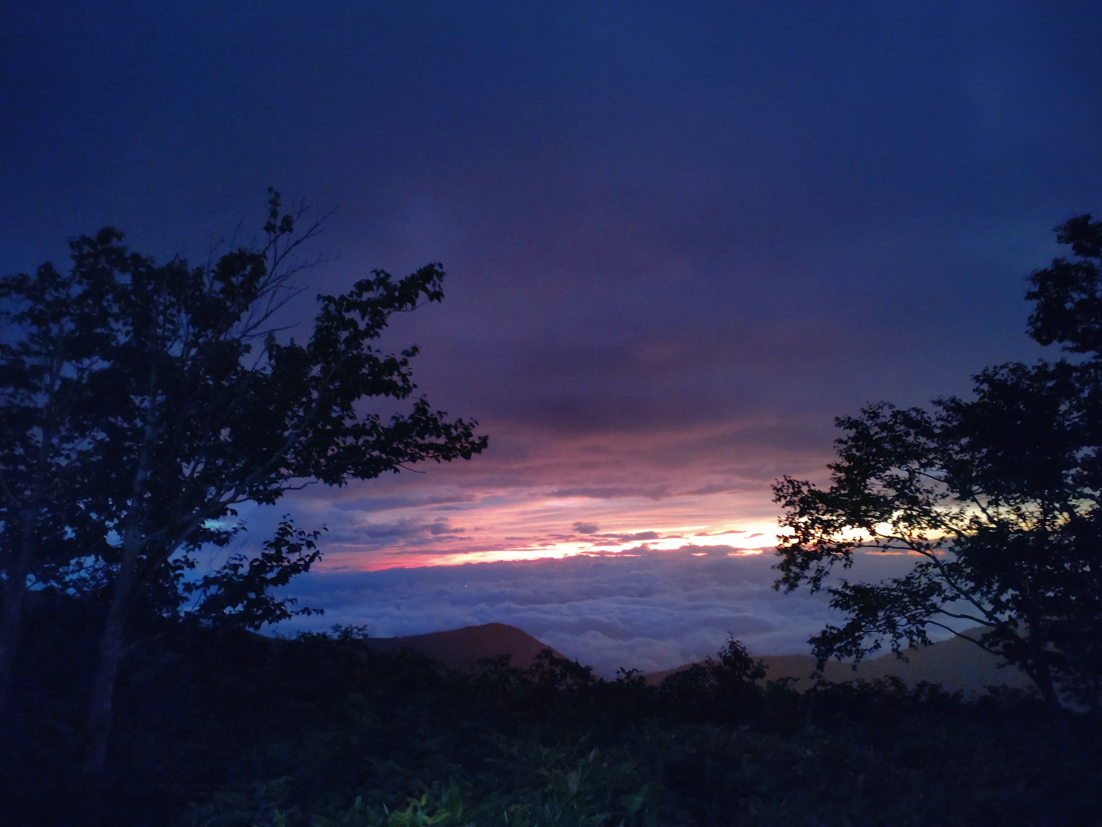 燕岳登山道途中から見えた雲海