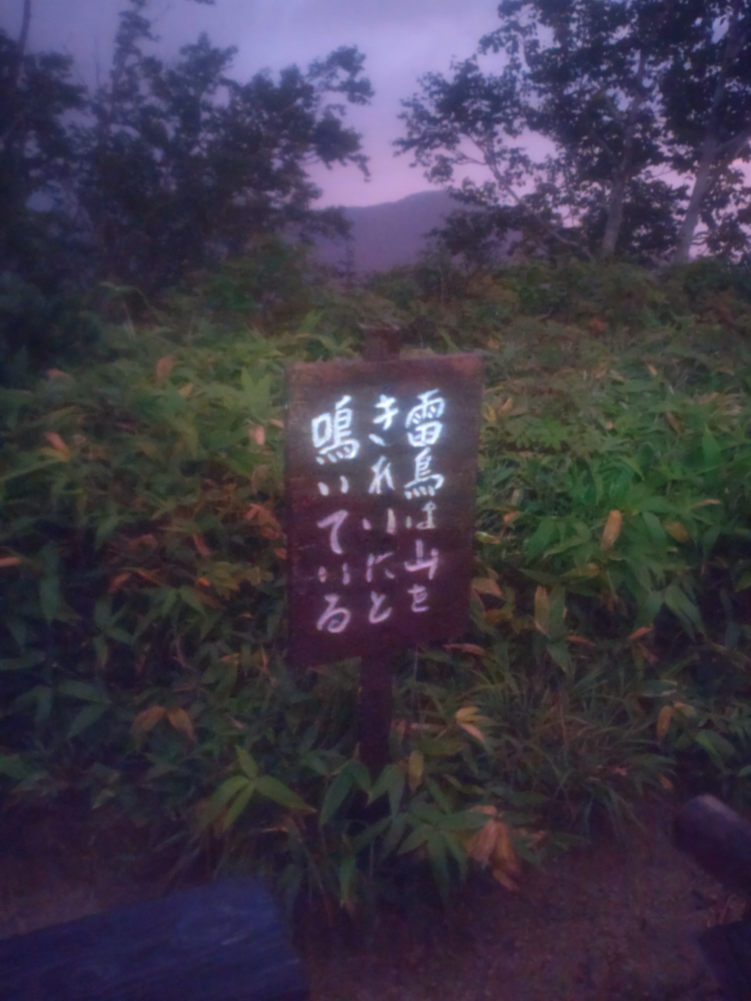 雷鳥が山を綺麗にとないている