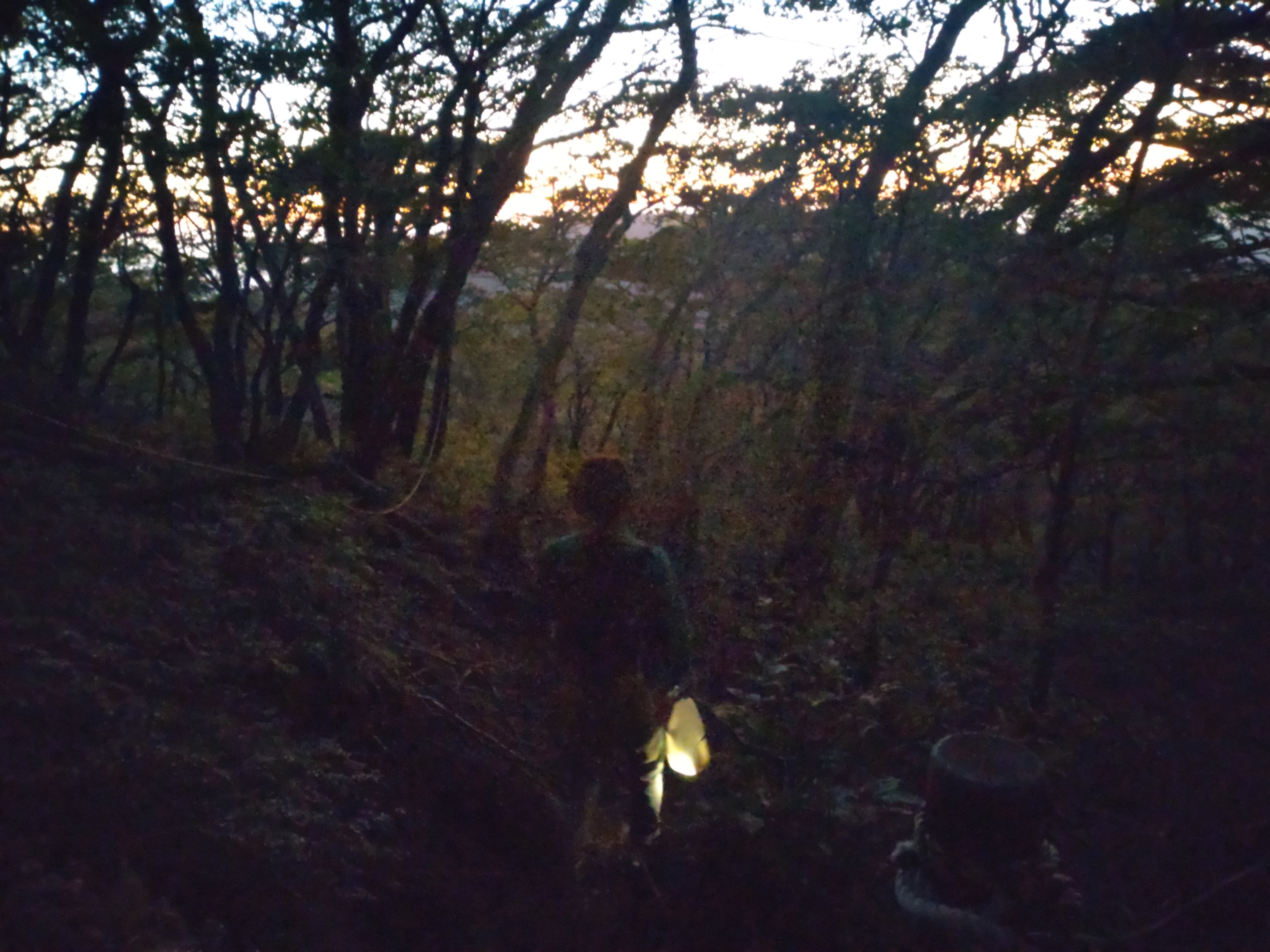 夕暮れの韓国岳登山道