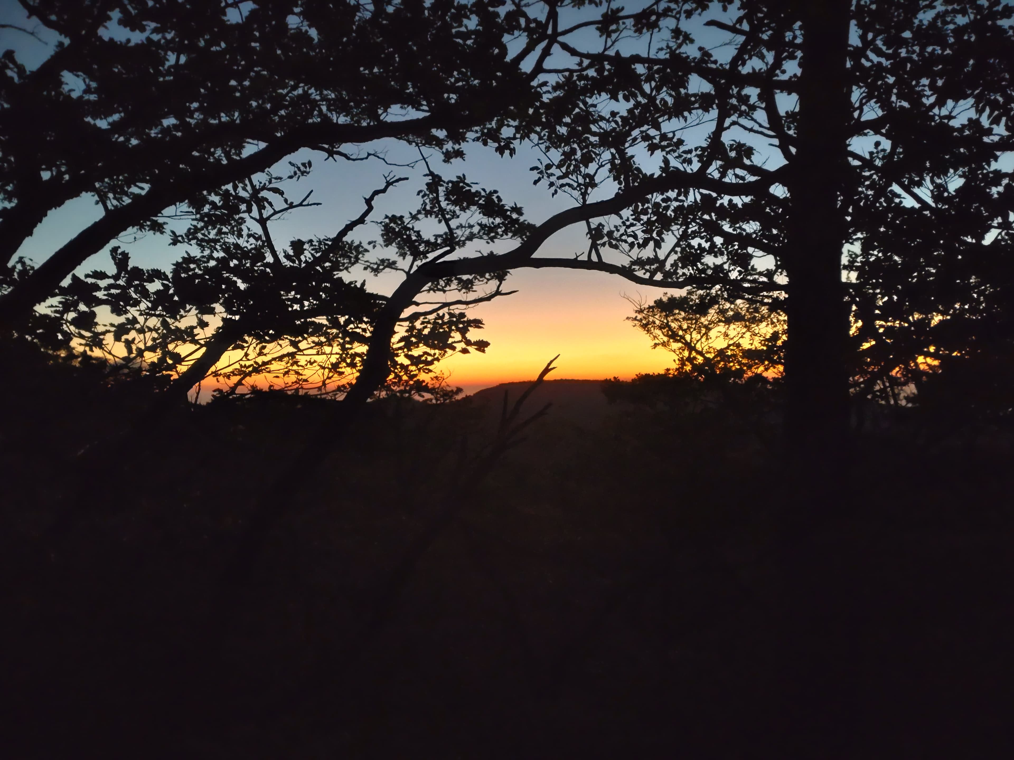 夕暮れの韓国岳登山道