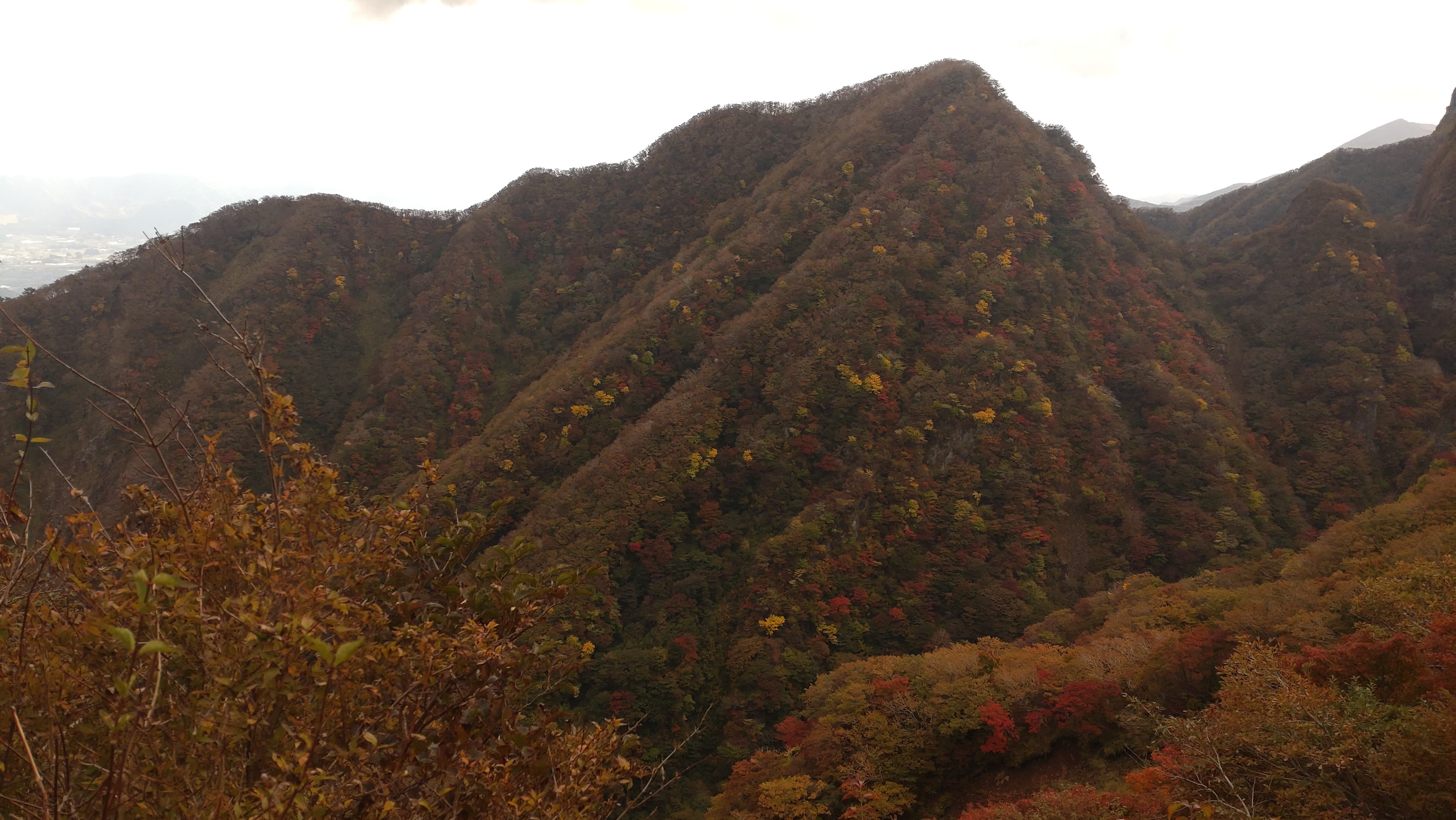 根子岳東峰登山道から見える紅葉