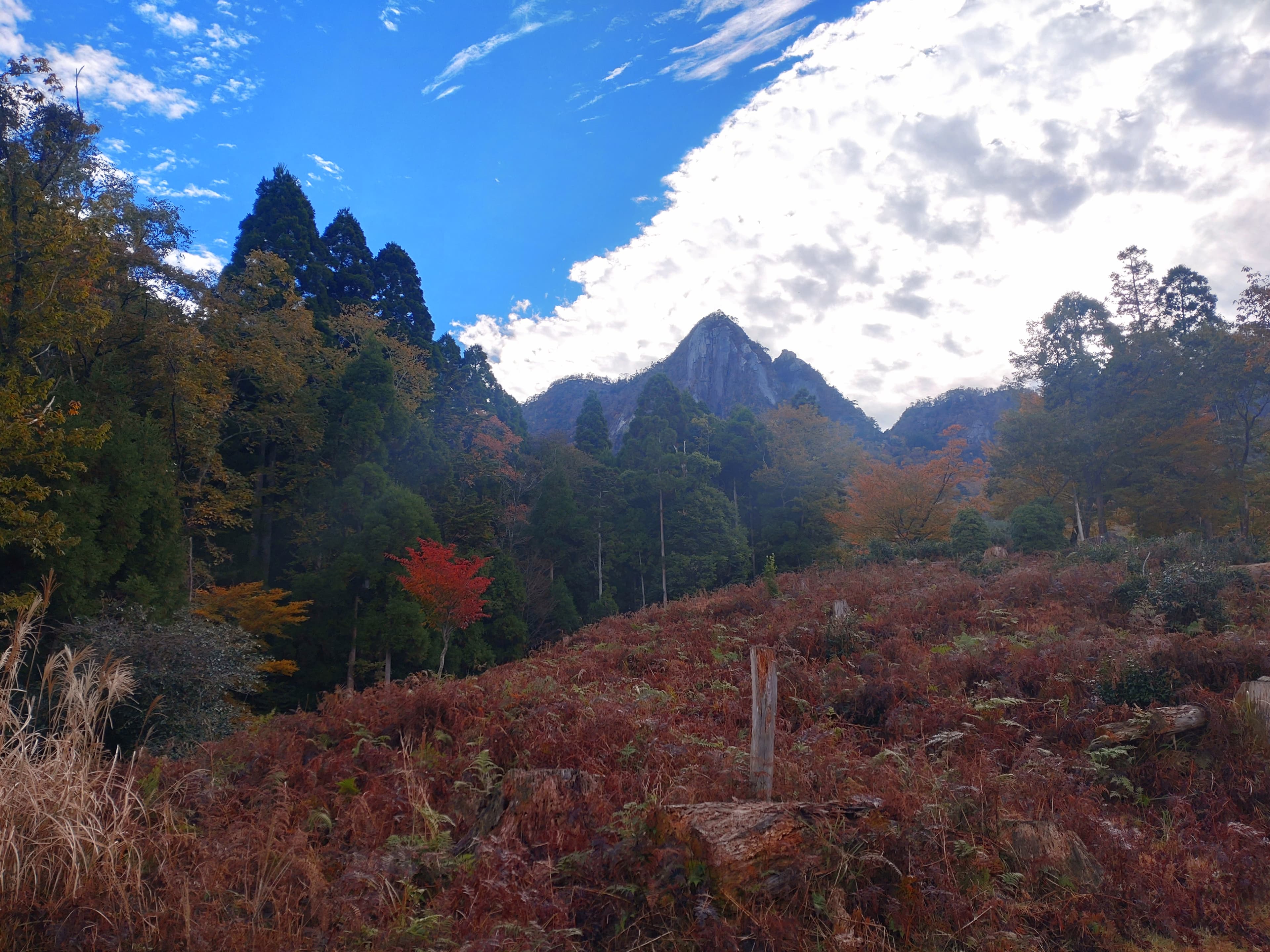 鉾岳登山口から見上げる鉾岳