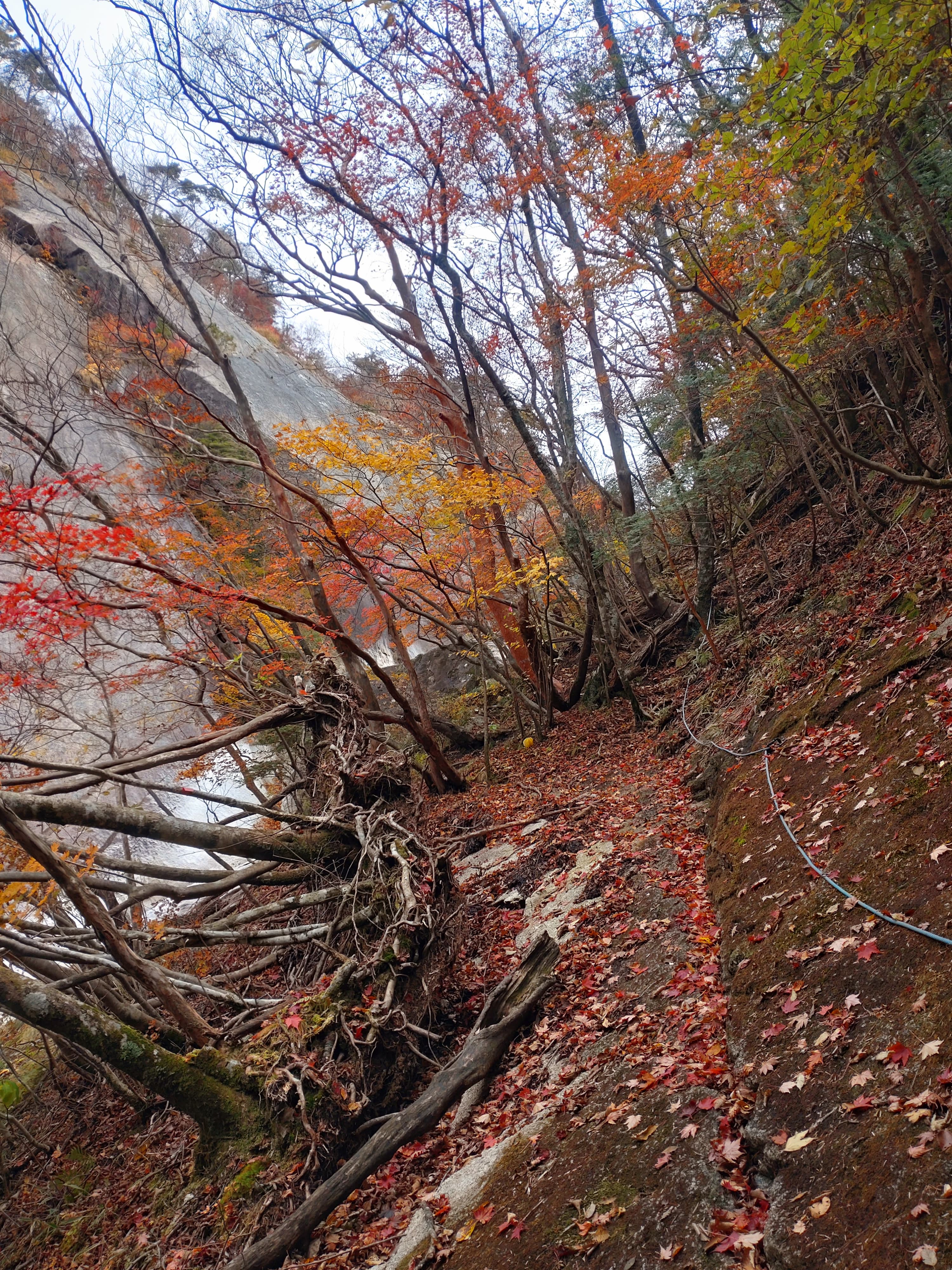 宮崎県・鉾岳の登山道
