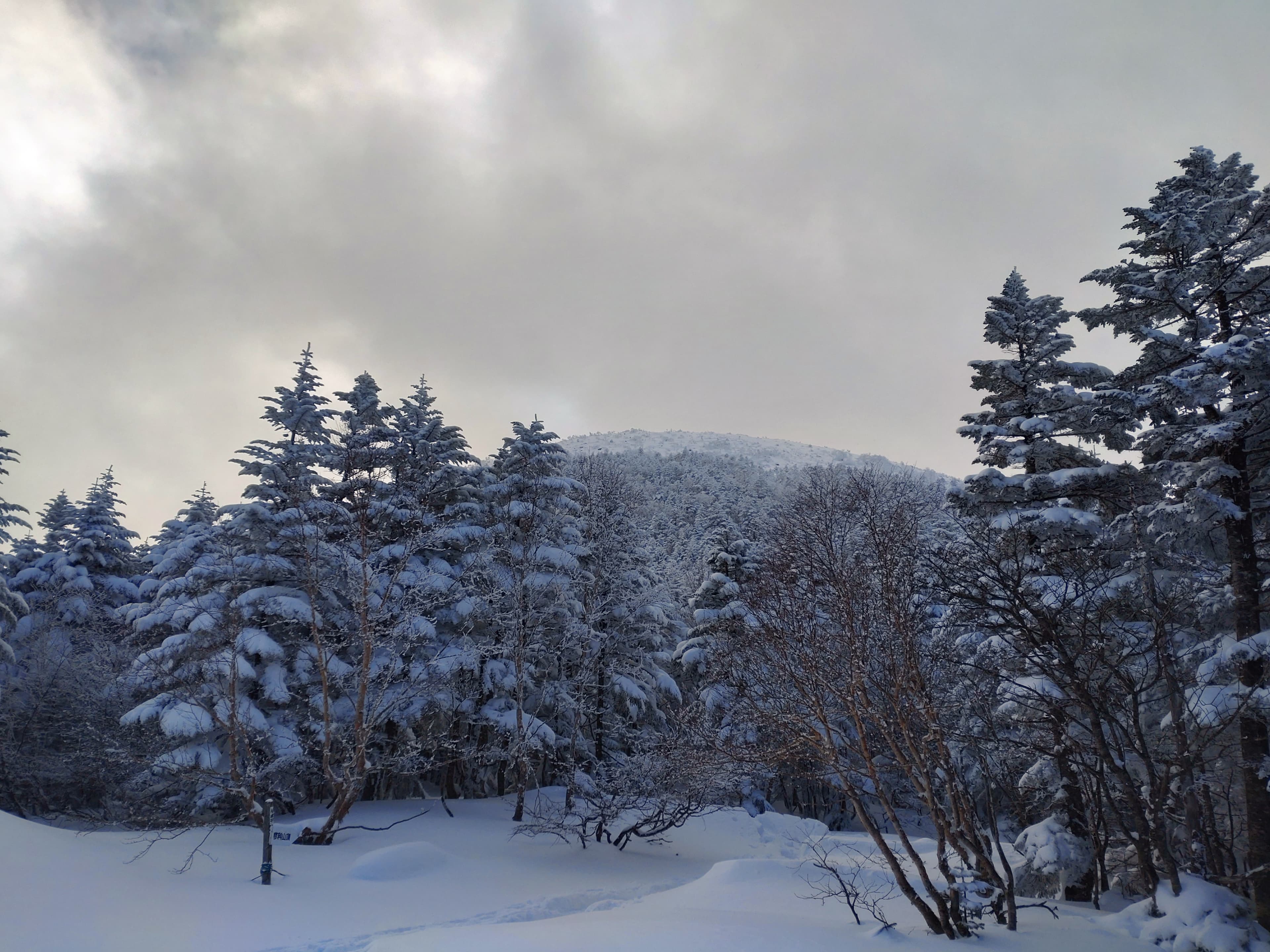 冬の蓼科山登山道