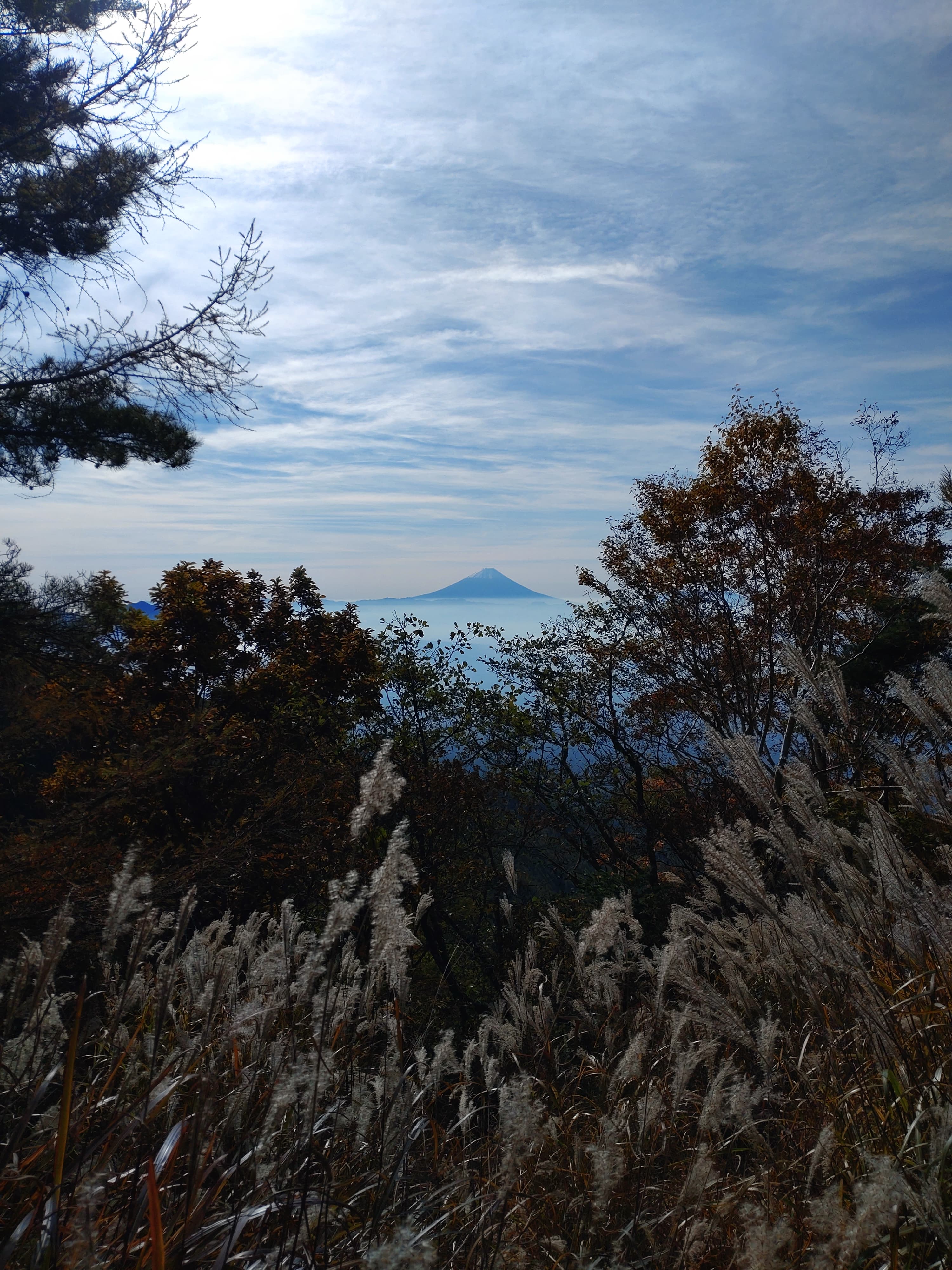 編笠山登山道の雲海から見える富士山