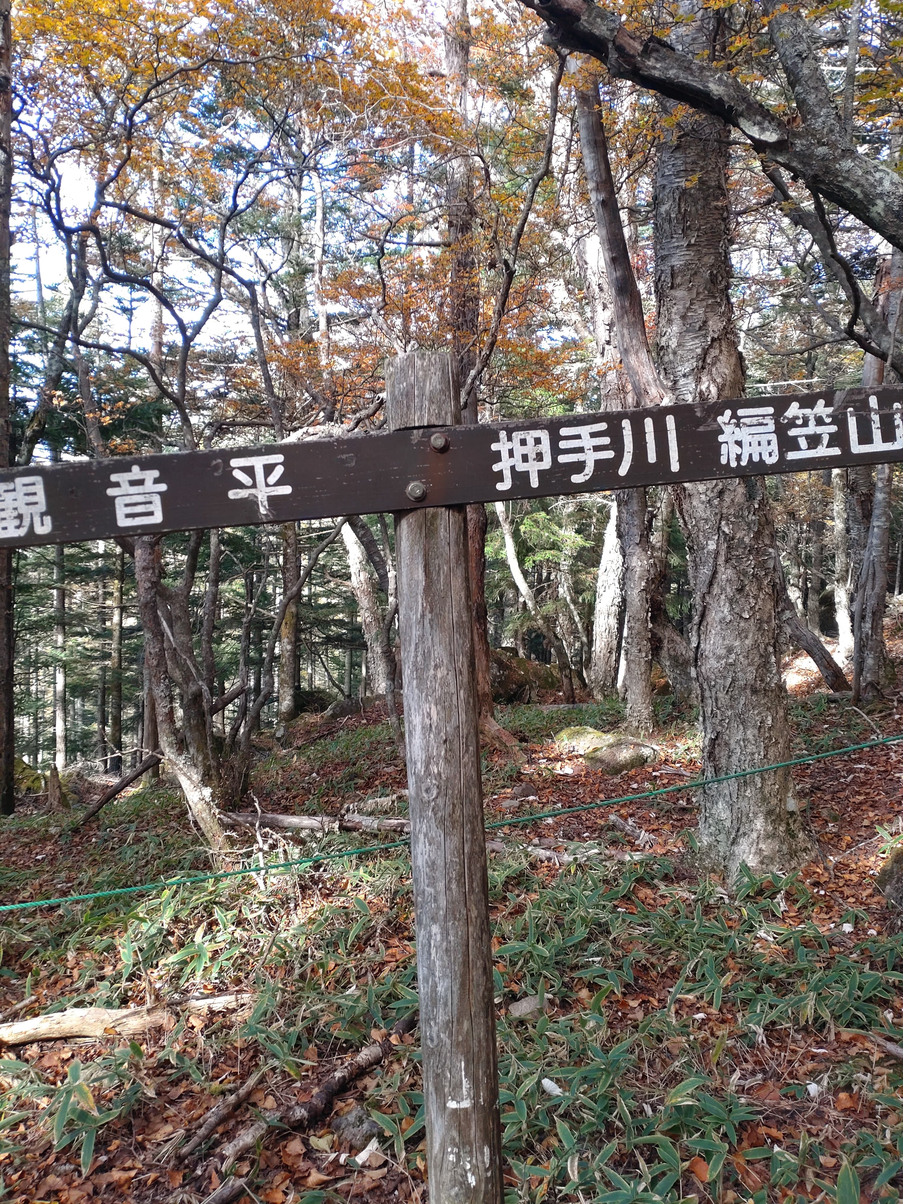 編笠山登山道の道標