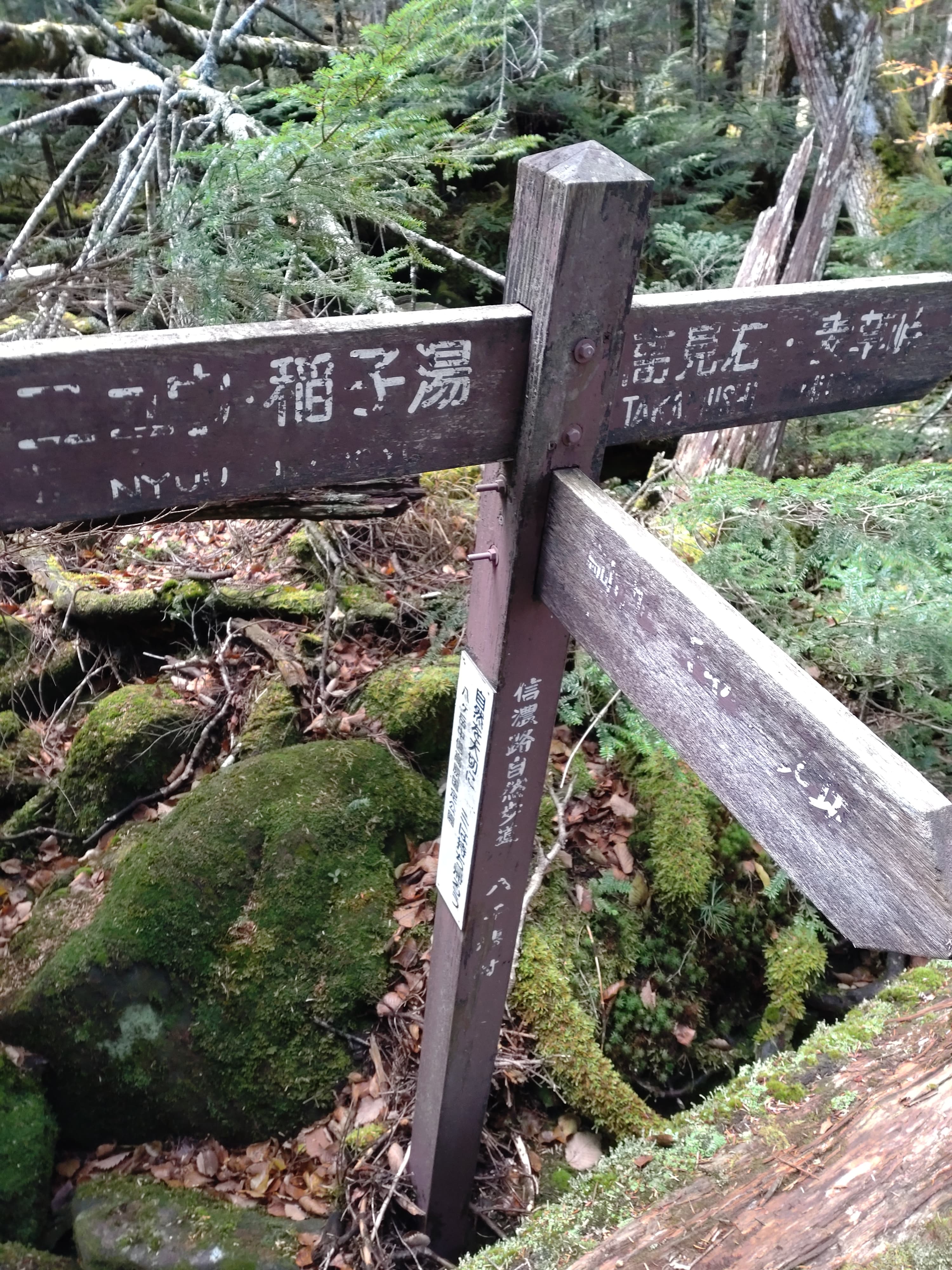 高見石、にゅう分岐