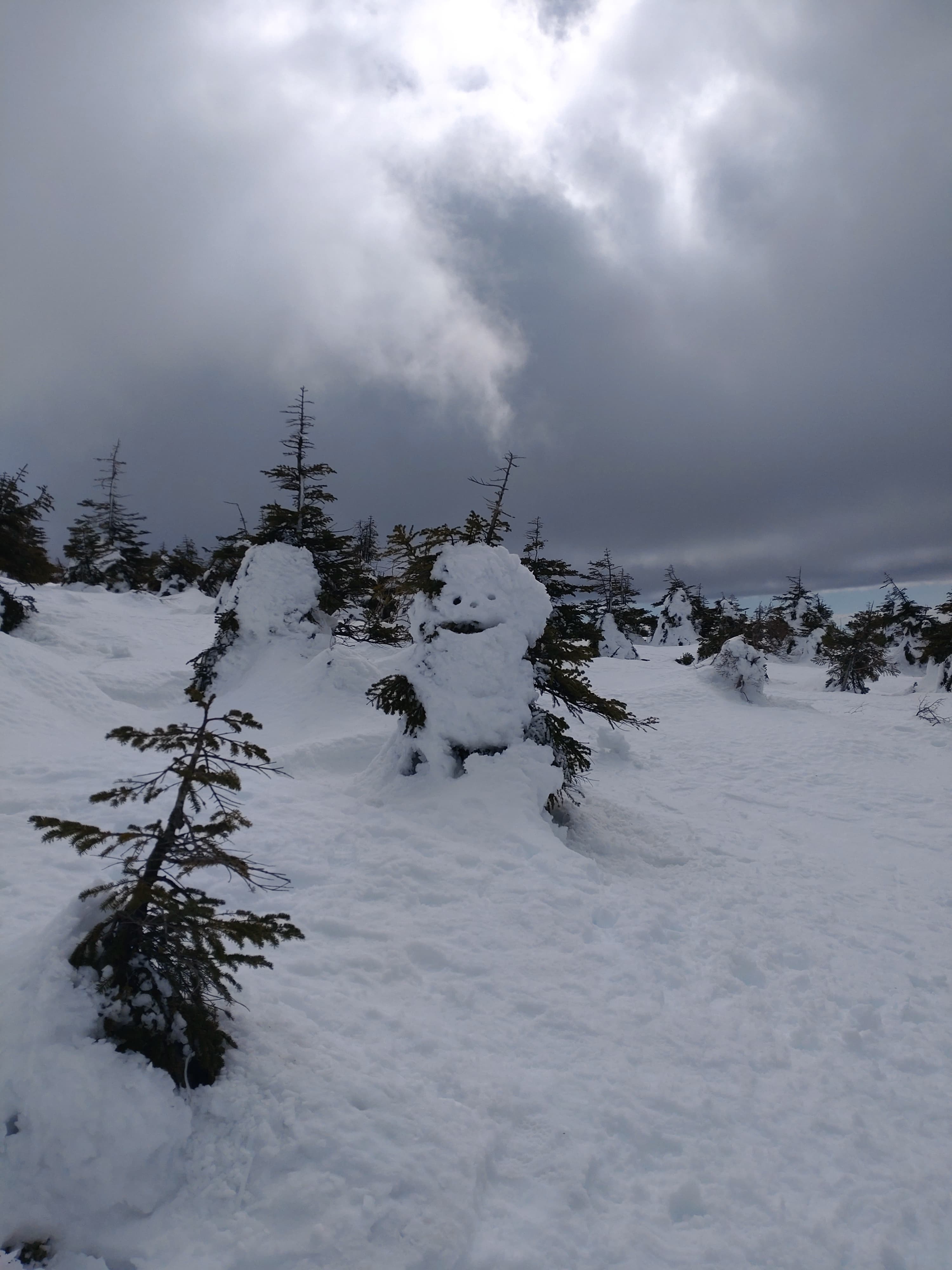 蔵王スノーモンスター