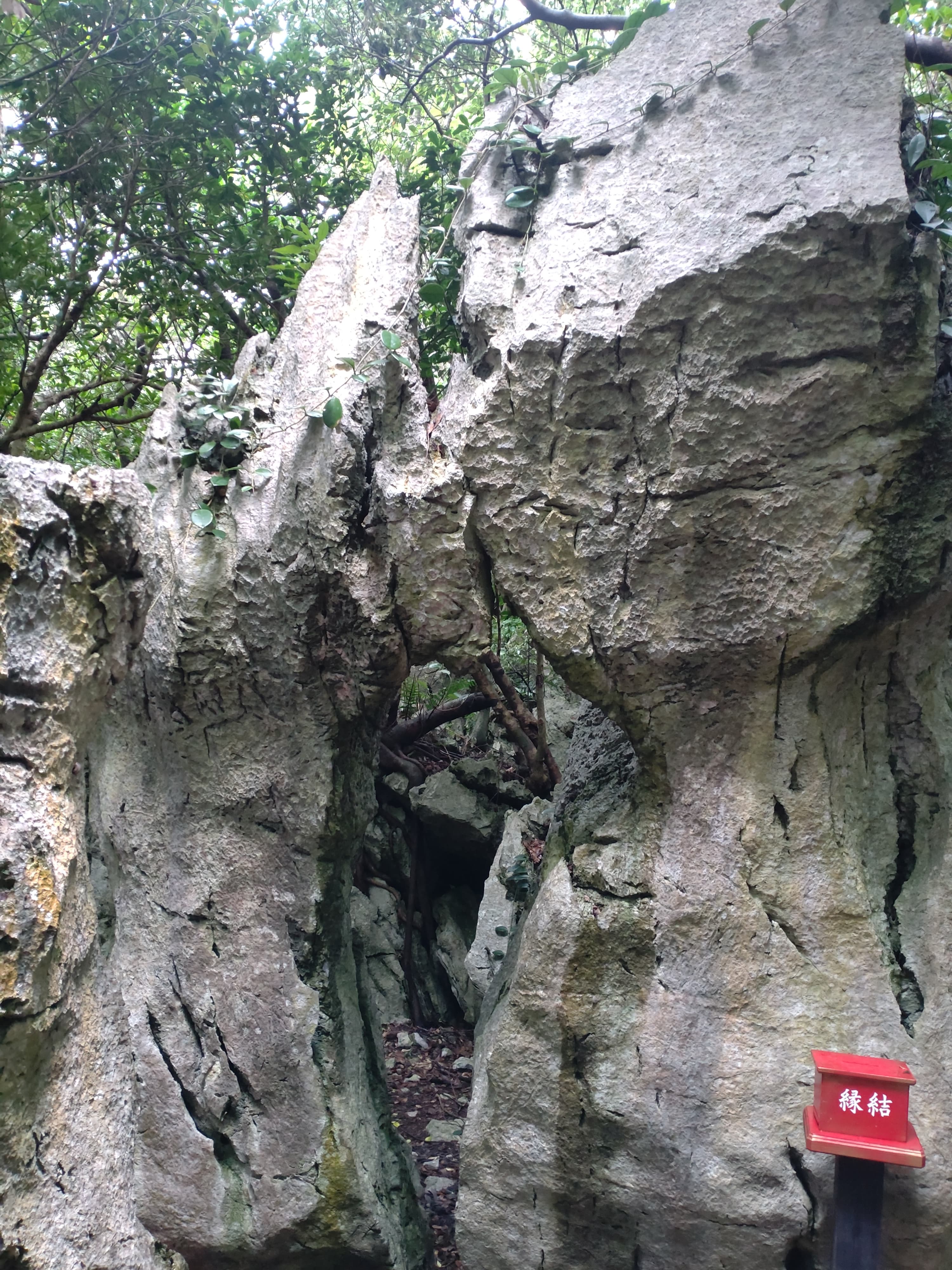 大石林山の奇岩