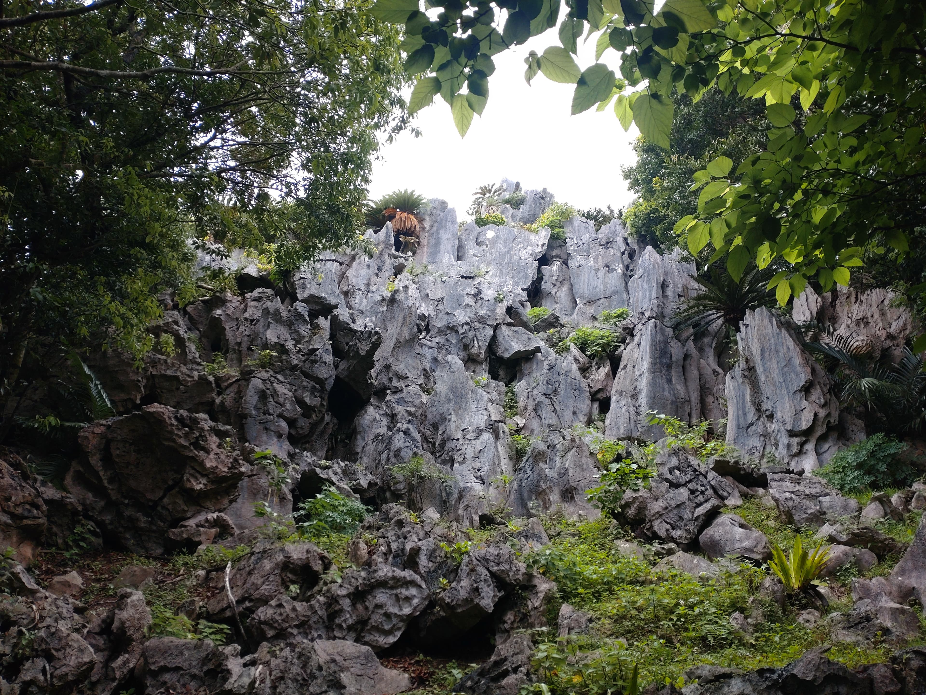 大石林山の奇岩