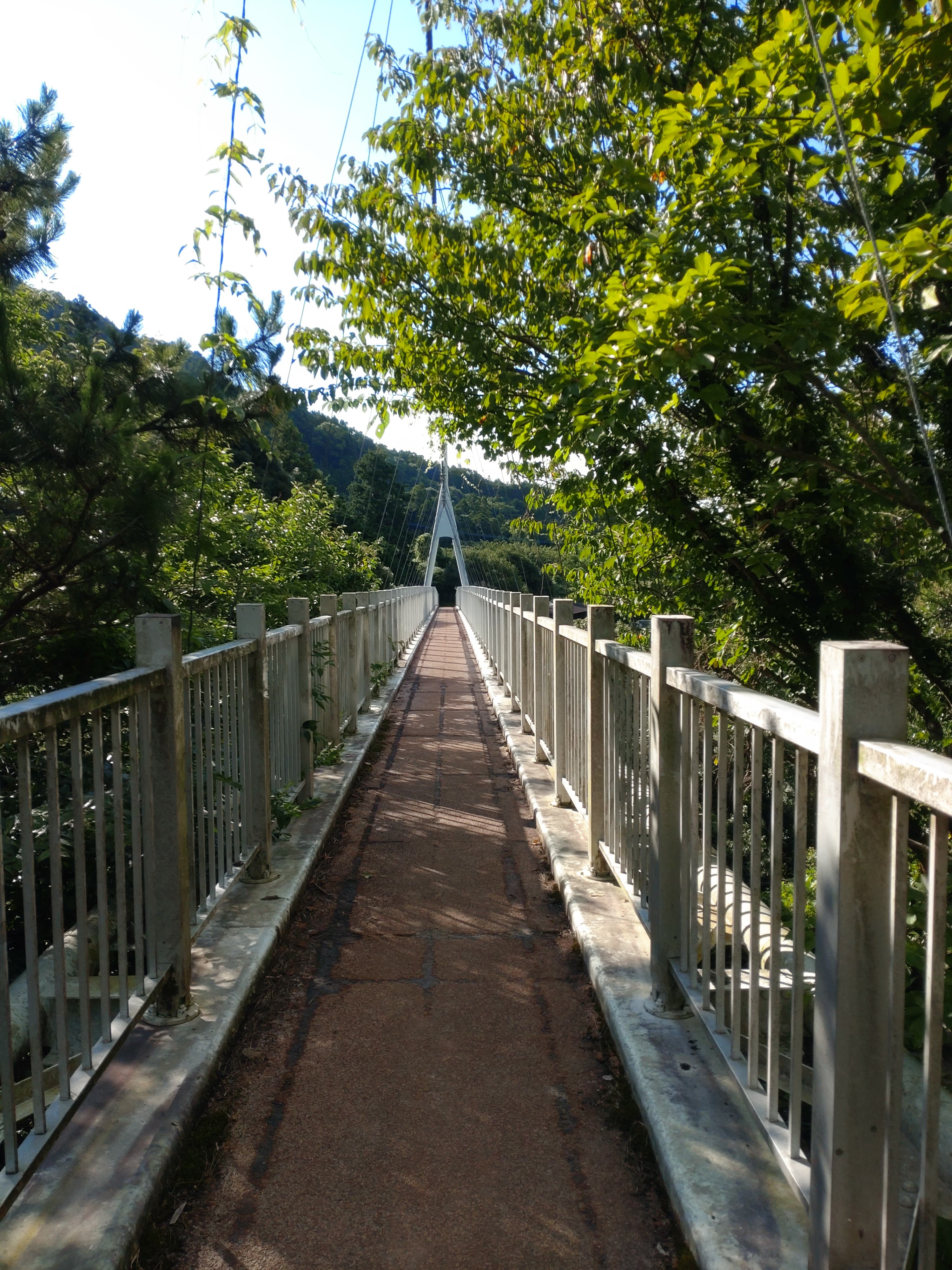 二丈岳登山口のゆらりんこ橋