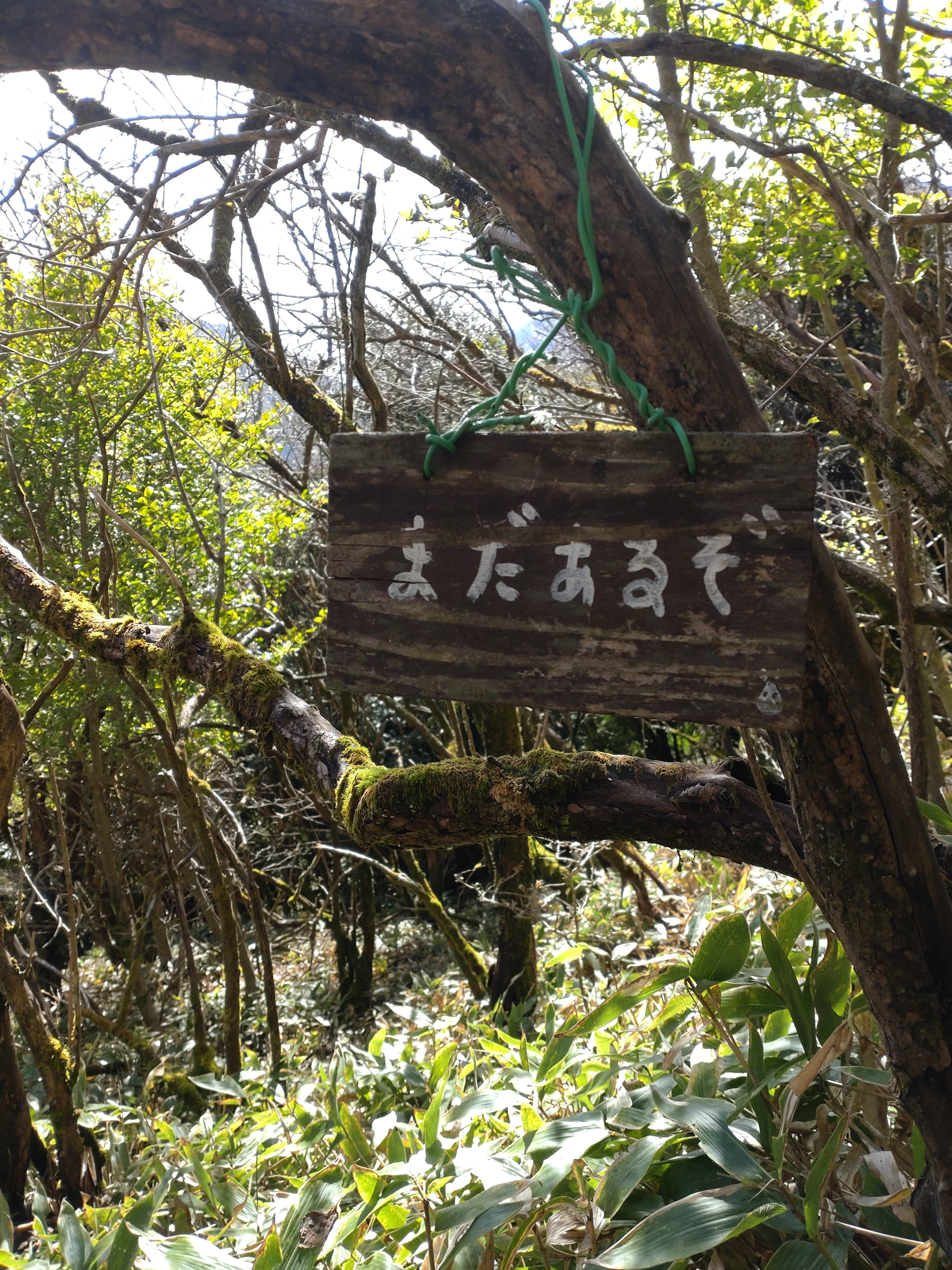 まだあるぞ標識