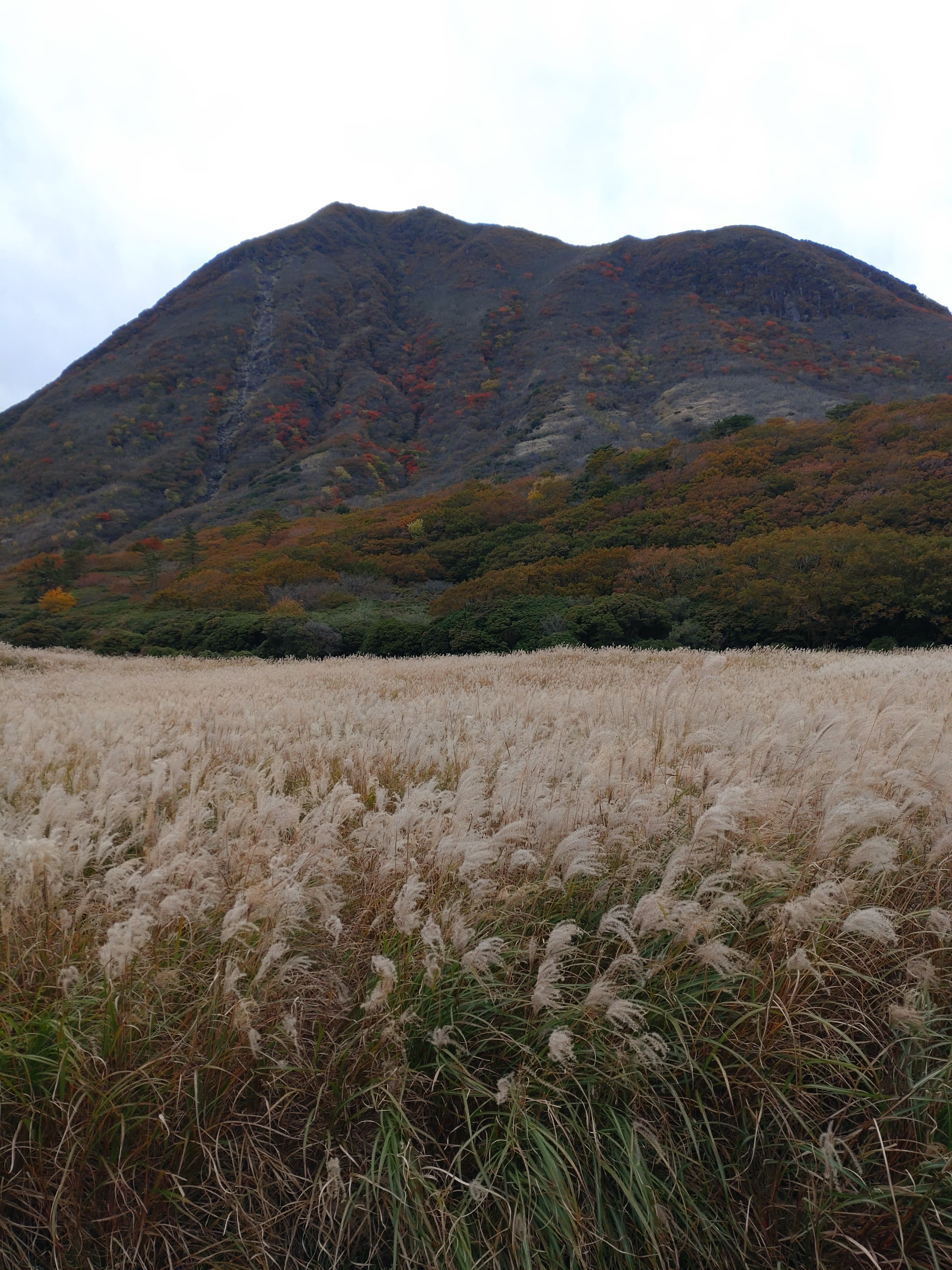 坊がつるから見える大船山