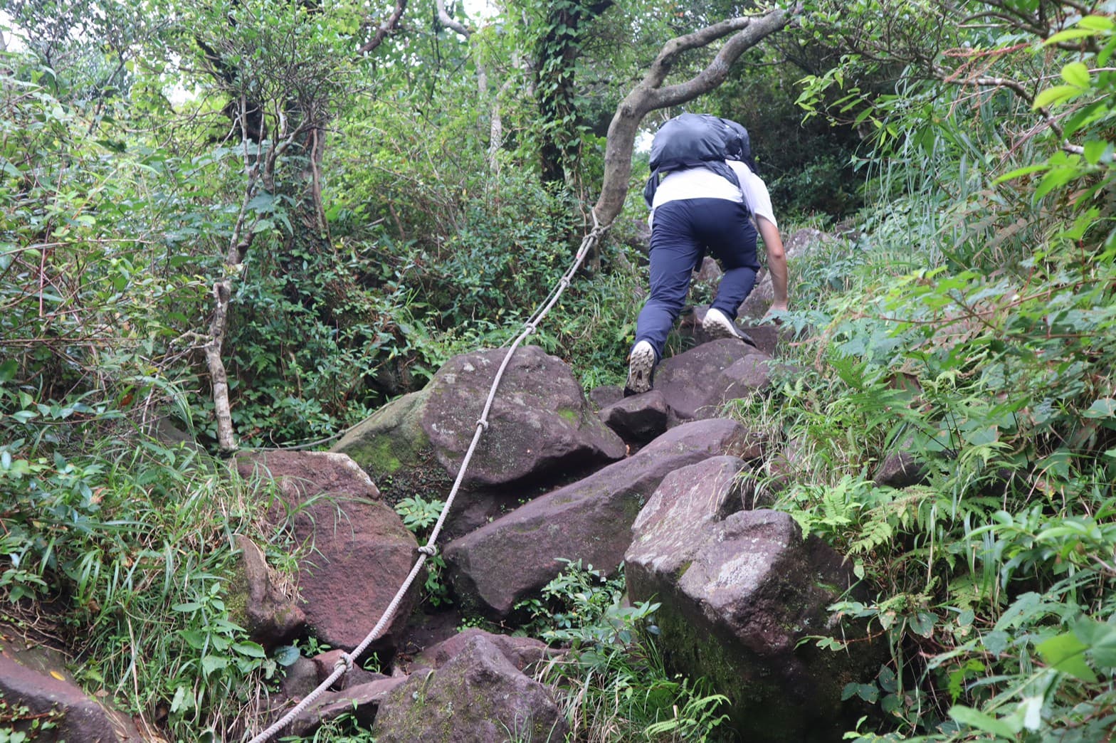 開聞岳登山道