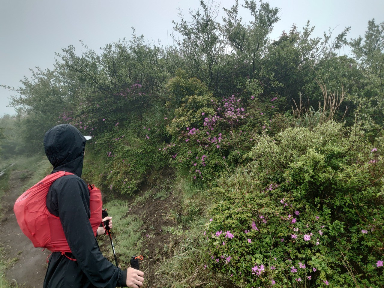 レインウェアの選び方記事のサムネイル画像