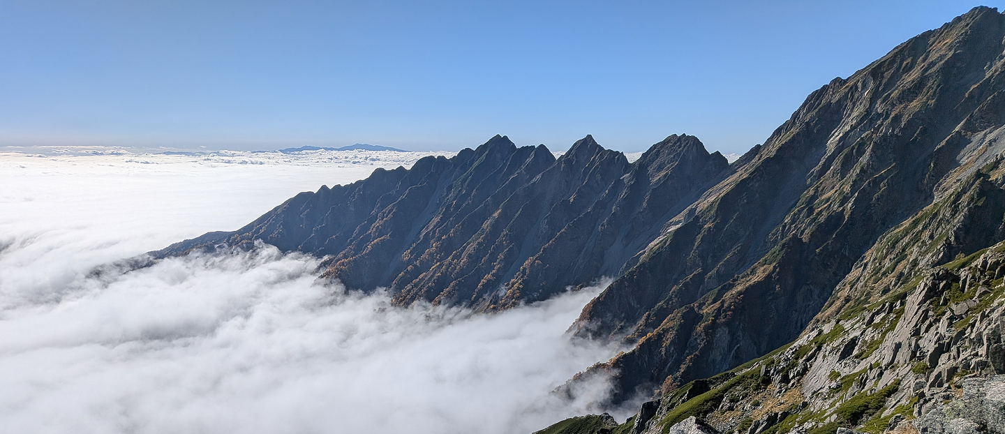 サイトイメージ画像